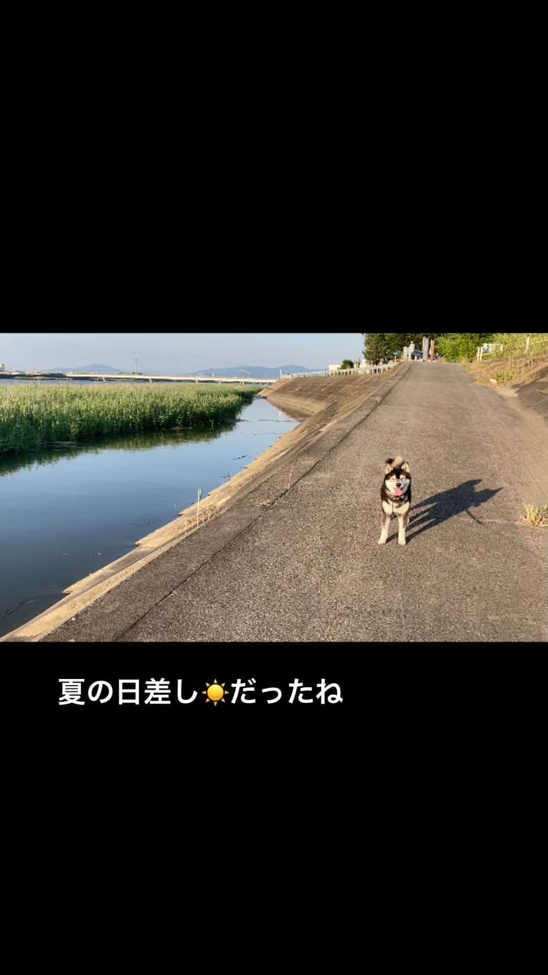 しんたのインスタグラム