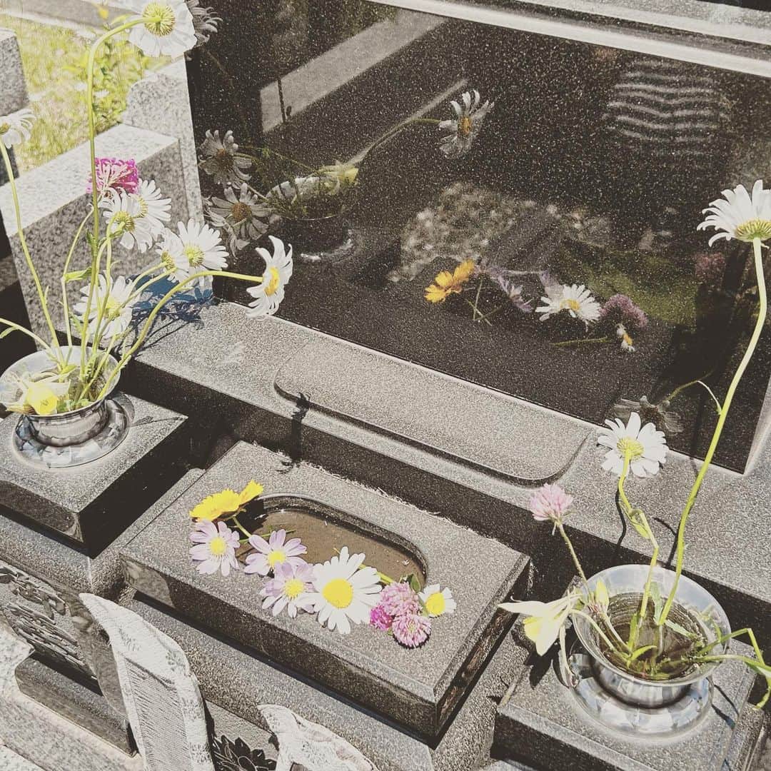 KIKIのインスタグラム：「お墓参り 娘たちが山野草で飾ってくれた🌼🪻🌸🏵️」