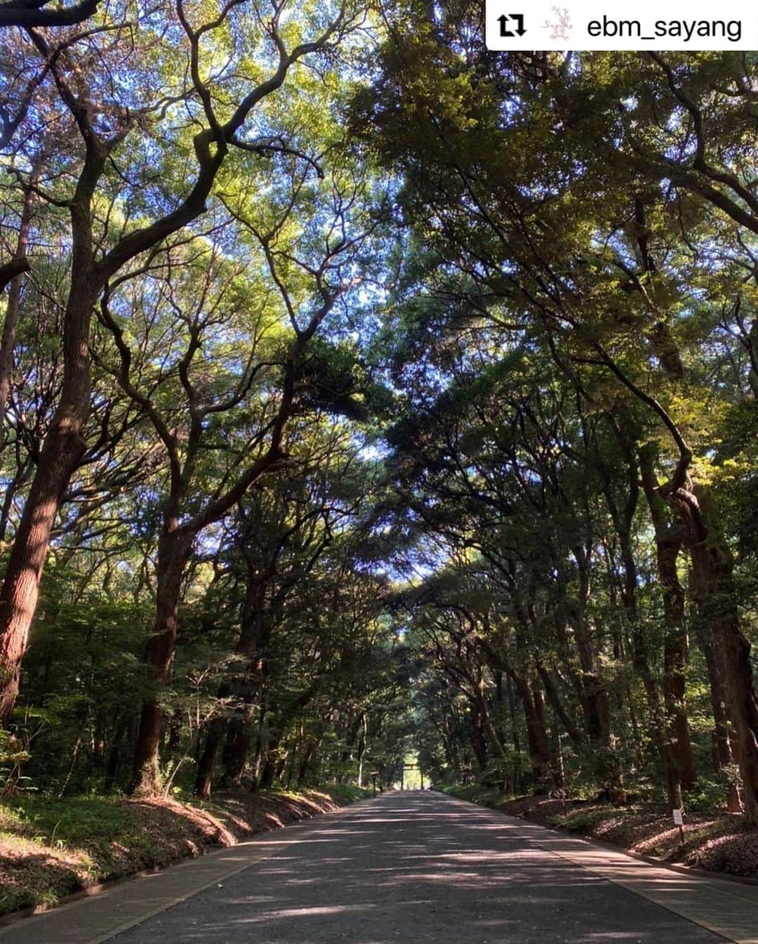 堤信子さんのインスタグラム写真 - (堤信子Instagram)「#Repost @ebm_sayang with @use.repost ・・・ こんにちは☀️  今週もフリーアナウンサー堤信子さん @nobnob1111 のミニエッセイ、 「あなたの心地良さを作る習慣」をお届けします♪  習慣90. 早朝参拝のご褒美  今朝早起きして、明治神宮に参拝に行きました。  週末によく参拝に訪れていますが、普段はだいたい朝９時前後で、参拝客ですでに賑わっている時間帯、早朝６時台に参拝に行ったのは初めてでした。  朝６時台の参道の人はまばら、木々や草が放つ生まれたての空気が、呼吸をするたびに体に染み渡り、細胞ひとつひとつがみるみるパワー充電されていくのを感じました。  木漏れ日も、鳥の囀りも、緑の葉がざわざわと揺れる音も、全て、お金では買えない、自然からのご褒美。早朝の明治神宮の清らかさは格別なものでした。  感謝の気持ちいっぱいに自宅に戻ると、全てがスムーズに流れ出しました。仕事も家事も何もかも、、、昨日まで面倒に思っていたことに対しても気持ちよく取り組む自分に気づきました。  早朝参拝で心の浄化、これからも続けてみようと思います。 #ebm #ebmさやん #イービーエム #さやん #化粧品会社 #feelincafe #堤信子 #あなたの心地良さを作る習慣 #早朝参拝のご褒美 #明治神宮 #早起き #ご褒美 #参拝 #週末の過ごし方 #自然のパワー #エネルギー #木漏れ日 #心の浄化」6月17日 21時52分 - nobnob1111