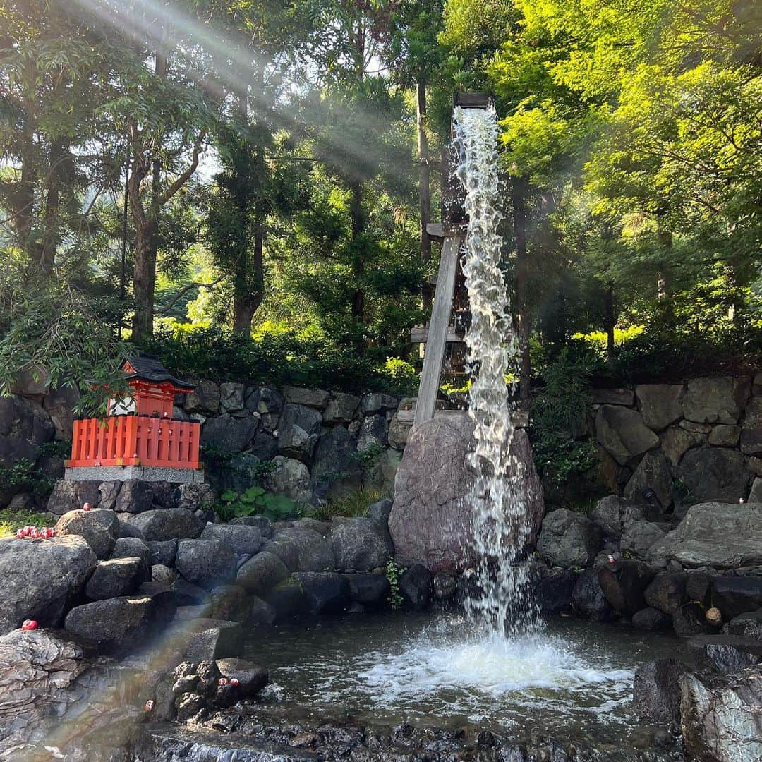 薮下柊さんのインスタグラム写真 - (薮下柊Instagram)「箕面の滝と勝尾寺に、シンバ🦁連れてハイキング🌿  ポパイは美容院だったので、今日は珍しくシンバだけ☺️  めっちゃ汗かいて楽しかった！  こういう暑い日のハイキングは 通気性の良いパンツと、 お気に入りのサングラスと、 汗を直ぐに拭ける手拭いが必須です😂  勝尾寺はワンちゃん連れで参拝できるので助かります😢✨　 御朱印もゲットできて大満足✨ いつか、西国三十三所を順番に巡礼したい〜  cap→ @nike  sunglasses→ @oakley  tops→ @iraknyc  backpack→ @salomon @salomon_japan  half pants→ @libere_official @libere_maverick_creative  sneakers→ @keen_japan @keen   #libere #liberejapan #salomon #keen #hiking #nature #naturelovers  #リベーレ#リベーレコーデ」6月17日 22時06分 - __yabushita_shu__