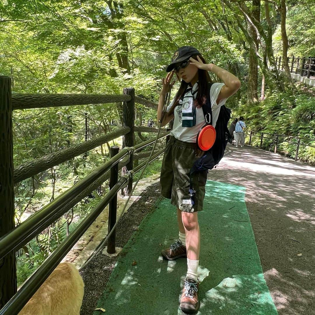 薮下柊さんのインスタグラム写真 - (薮下柊Instagram)「箕面の滝と勝尾寺に、シンバ🦁連れてハイキング🌿  ポパイは美容院だったので、今日は珍しくシンバだけ☺️  めっちゃ汗かいて楽しかった！  こういう暑い日のハイキングは 通気性の良いパンツと、 お気に入りのサングラスと、 汗を直ぐに拭ける手拭いが必須です😂  勝尾寺はワンちゃん連れで参拝できるので助かります😢✨　 御朱印もゲットできて大満足✨ いつか、西国三十三所を順番に巡礼したい〜  cap→ @nike  sunglasses→ @oakley  tops→ @iraknyc  backpack→ @salomon @salomon_japan  half pants→ @libere_official @libere_maverick_creative  sneakers→ @keen_japan @keen   #libere #liberejapan #salomon #keen #hiking #nature #naturelovers  #リベーレ#リベーレコーデ」6月17日 22時06分 - __yabushita_shu__