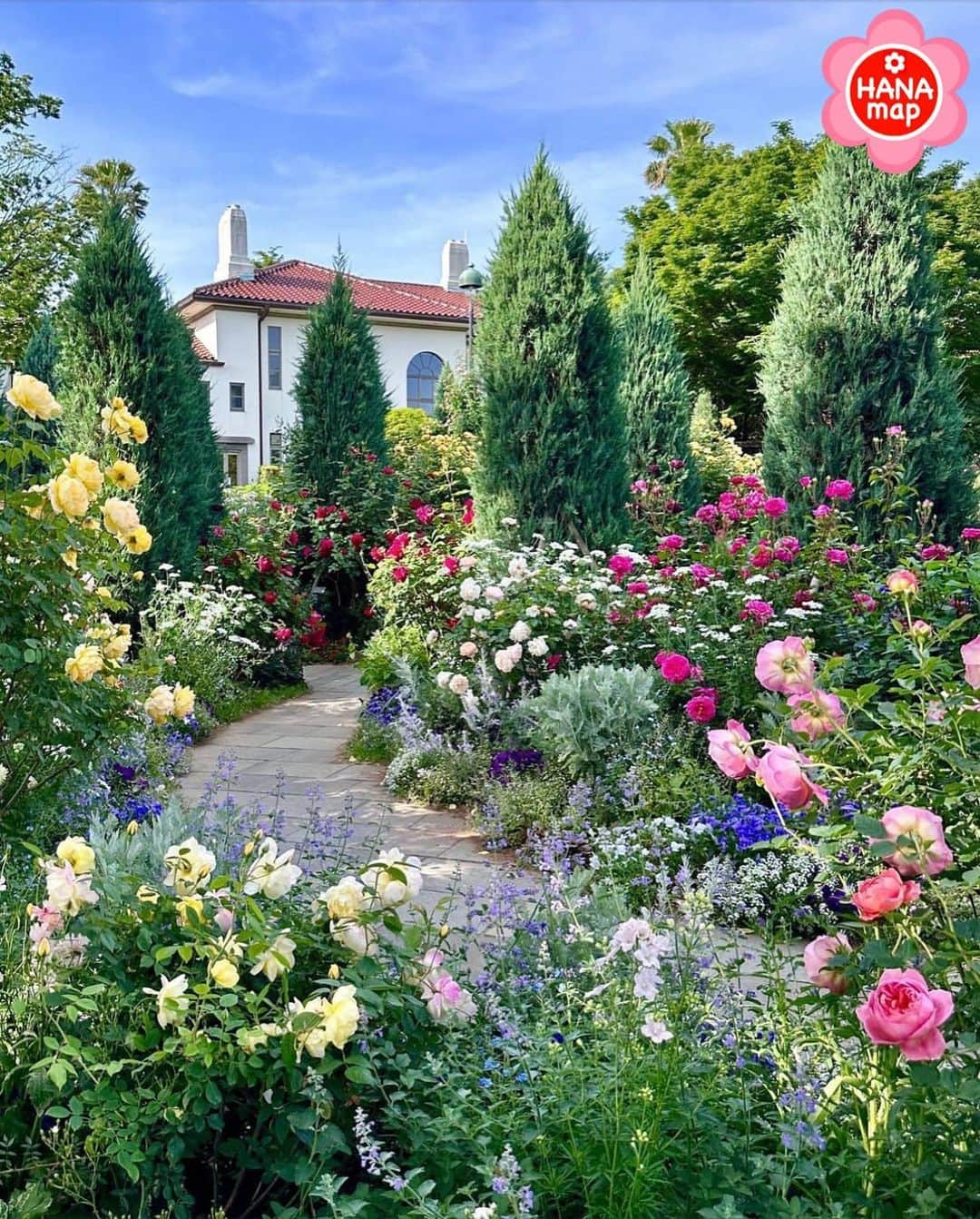 はなまっぷ❁日本の花風景さんのインスタグラム写真 - (はなまっぷ❁日本の花風景Instagram)「🌸はなまっぷ🌸 * @nonana2210 さんの 花のある風景に花まるを💮 * おしゃれな洋館を背景に色とりどりに咲き誇るバラをありがとうございます😊🌸 * #神奈川　#港の見える丘公園  Minato-no-Mieruoka Park,  Kanagawa Pref * バラの花言葉 愛 * #はなまっぷ #日本の美しい花風景#花のある風景#花#花言葉#バラ#薔薇#イングリッシュローズ#イギリス館#rose#🌹#横浜#ローズガーデン#洋館 * いつも素敵なお花をありがとうございます😊 ※見頃が過ぎている花、終わっている花もご紹介させていただいています。 * 🌸••••••お知らせ••••••🌸 * 花風景検索サイト　はなまっぷ https://hanamap.com 🔍「はなまっぷ」または @hanamap プロフィール欄から ぜひご覧ください * 📖🌸📖🌸📖🌸📖🌸📖 四季の花々を訪ねていきたい にっぽんの花地図 好評発売中📘 📖🌸📖🌸📖🌸📖🌸📖」6月17日 13時35分 - hanamap