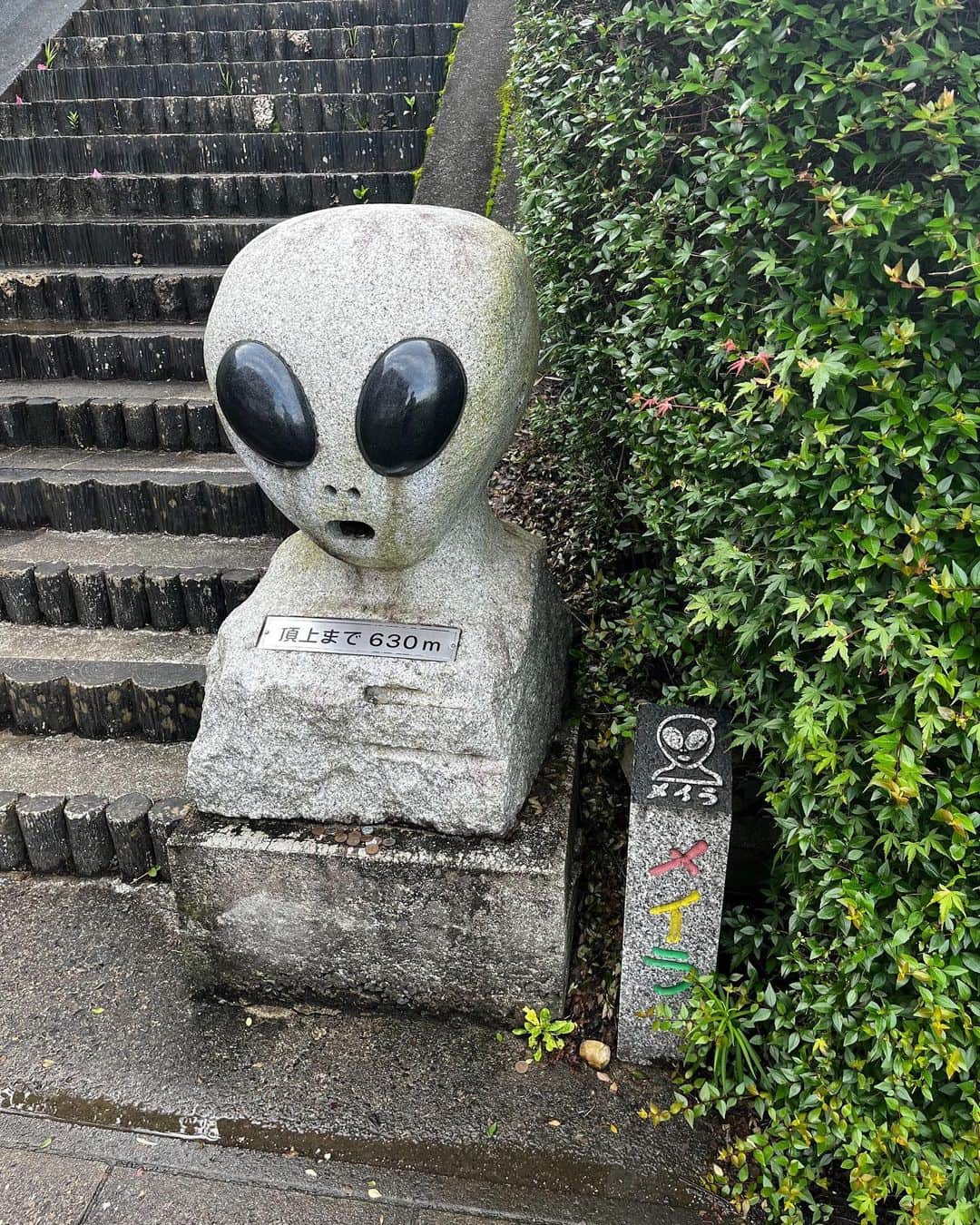 中丸雄一さんのインスタグラム写真 - (中丸雄一Instagram)「福島県の飯野町「UFOふれあい館」から中継した。6月24日は「UFOの日」だそう。  極論、宇宙人はいてもいなくてもおそらく自分の生活には影響ないから、だとしたらこのロマンをエンタメとして楽しむべきでしょう。そう思った1日だった。  その他にもCIAの機密文書や、UFOに関係する資料が多くあった。  あと「UFOのエレファントガーリック」の料理いただいた。どれも美味しかった〜。」6月17日 14時20分 - y_nakamaru_94