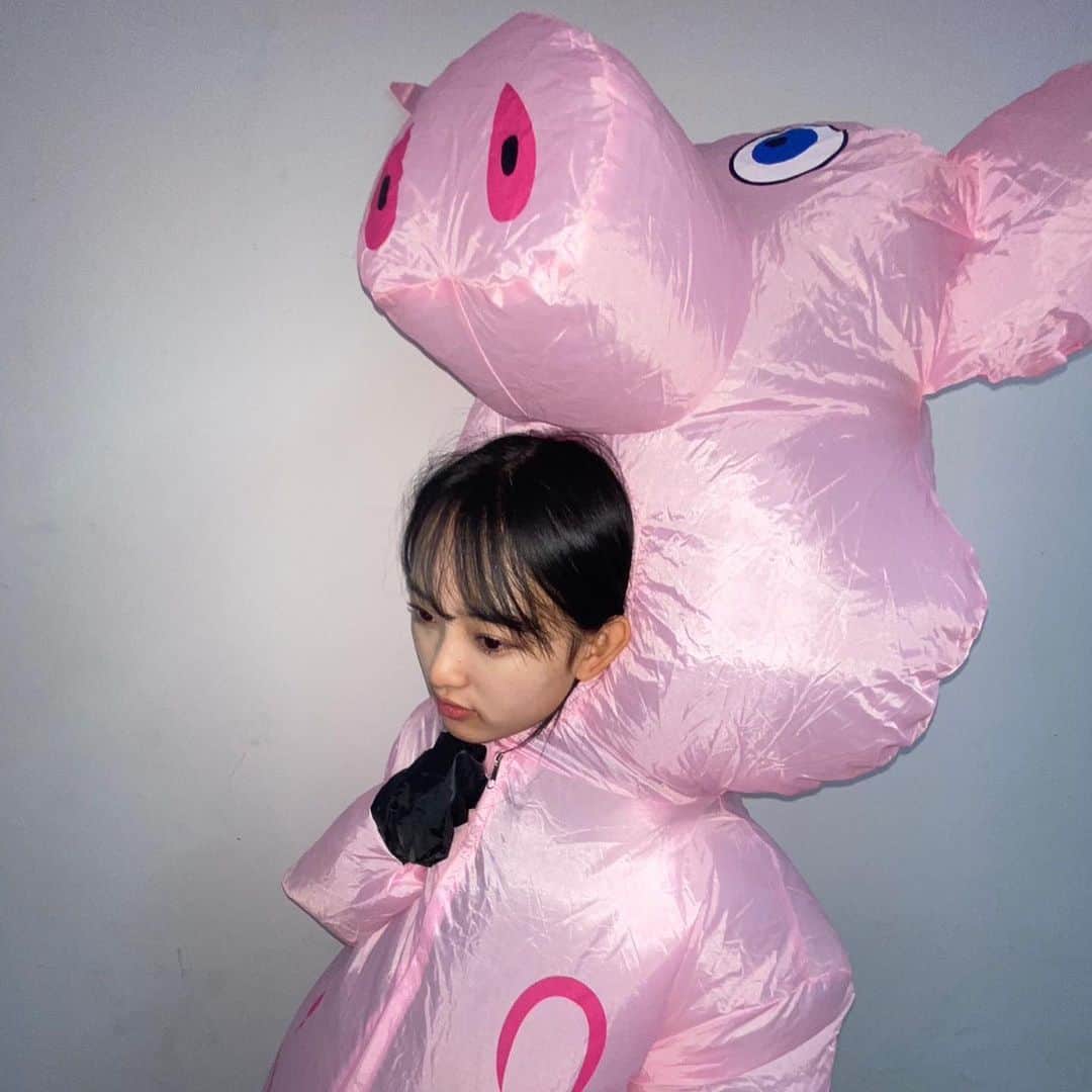 歌田初夏さんのインスタグラム写真 - (歌田初夏Instagram)「お話し会ありがとうございました🐷  #ユメミール　で三匹の子豚です  ファンの皆さんが豚になった推しを目の前にして言葉を失っていました  ぴっぐりさせてごめんなさい。  明日もよろしくお願いします！  #ユメミール　#YouTube #豚　#三匹の子豚　#AKB48 #オフライン　#お話し会」6月17日 14時35分 - utahatsu78