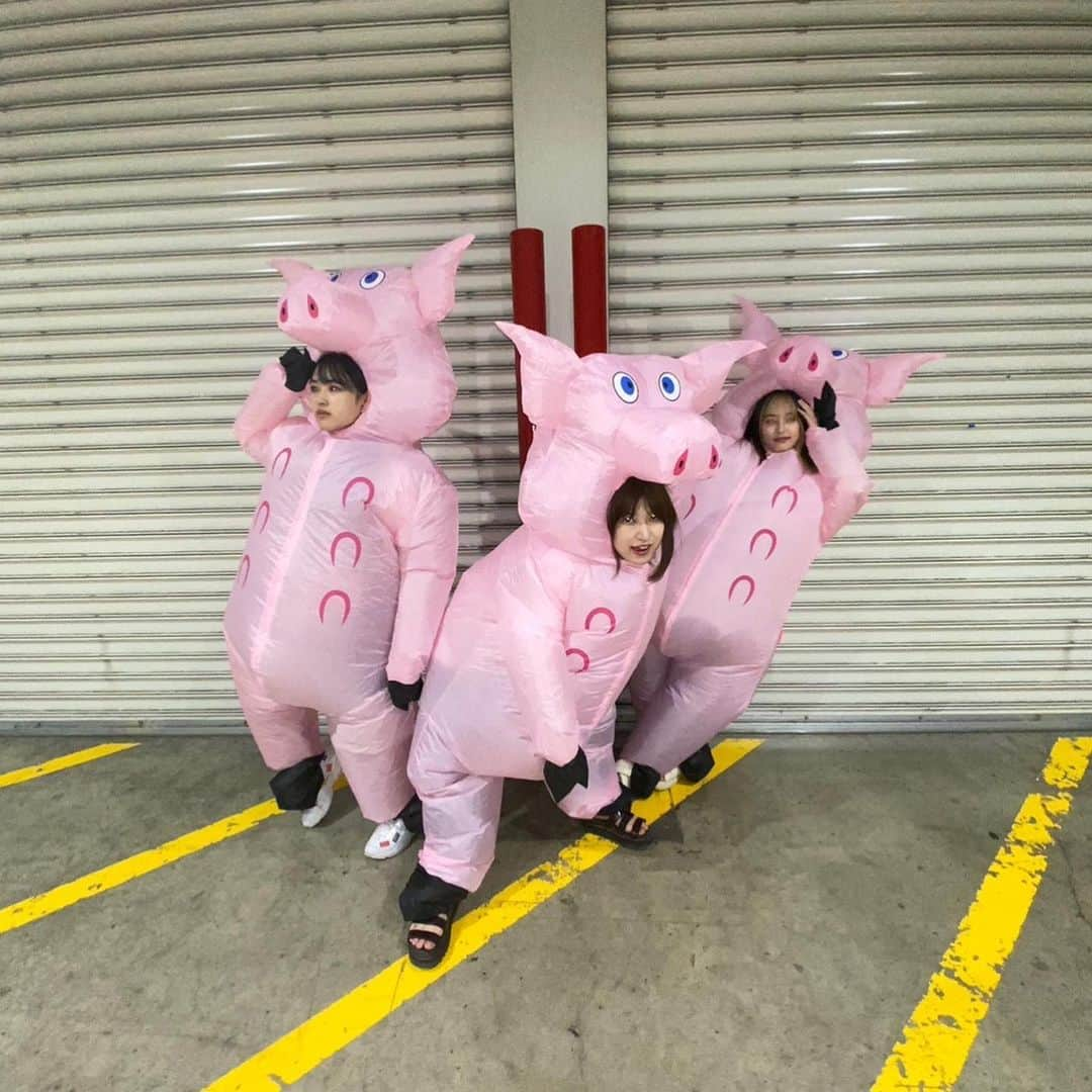 歌田初夏のインスタグラム：「お話し会ありがとうございました🐷  #ユメミール　で三匹の子豚です  ファンの皆さんが豚になった推しを目の前にして言葉を失っていました  ぴっぐりさせてごめんなさい。  明日もよろしくお願いします！  #ユメミール　#YouTube #豚　#三匹の子豚　#AKB48 #オフライン　#お話し会」