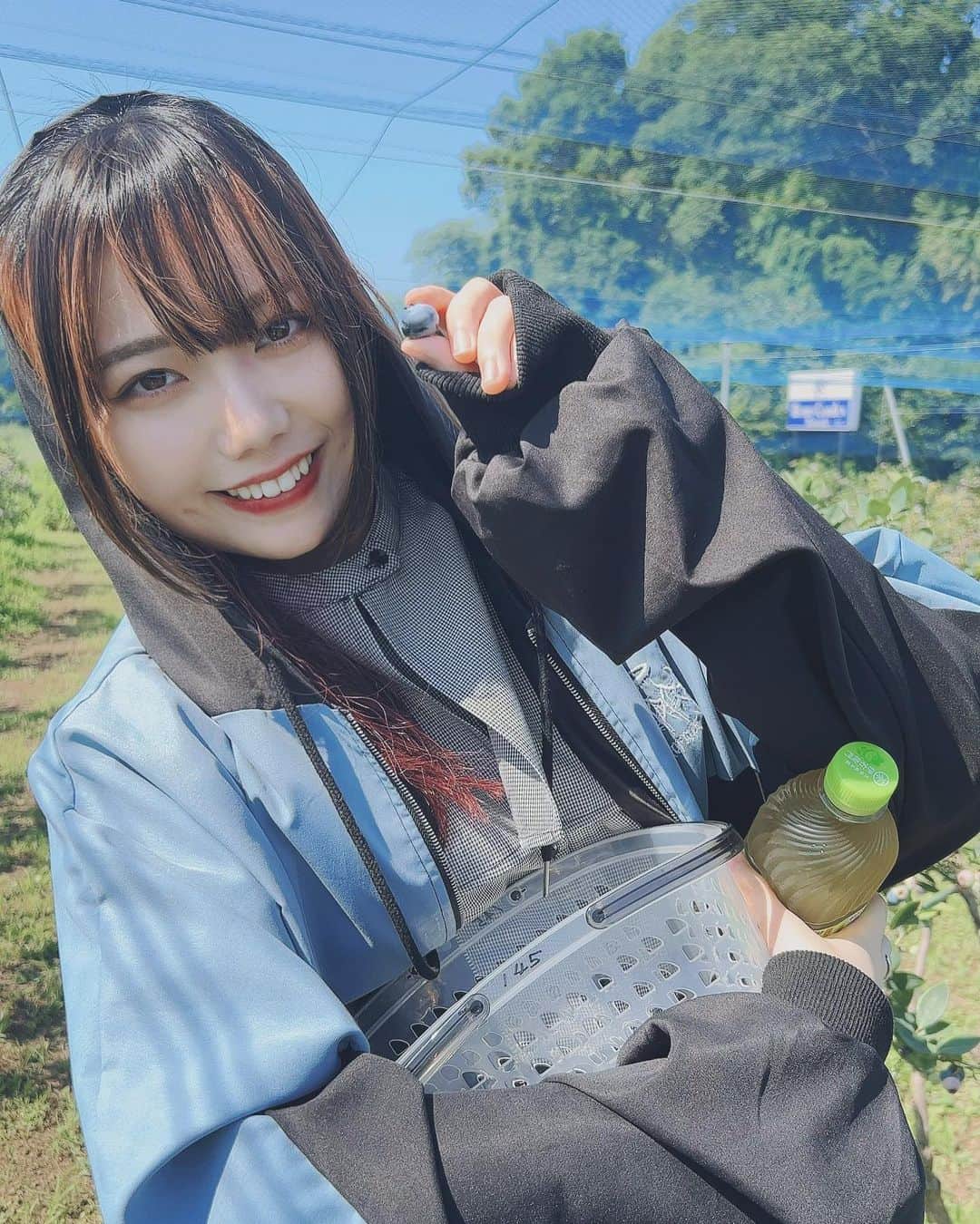 長久玲奈のインスタグラム：「初めてブルーベリー🫐狩りしてきた🥺🥺 　 こんな大きいブルーベリー🫐あるんだー！って終始楽しかった☺️  #ブルーベリー狩り  #美味しい ♡ #長久玲奈」