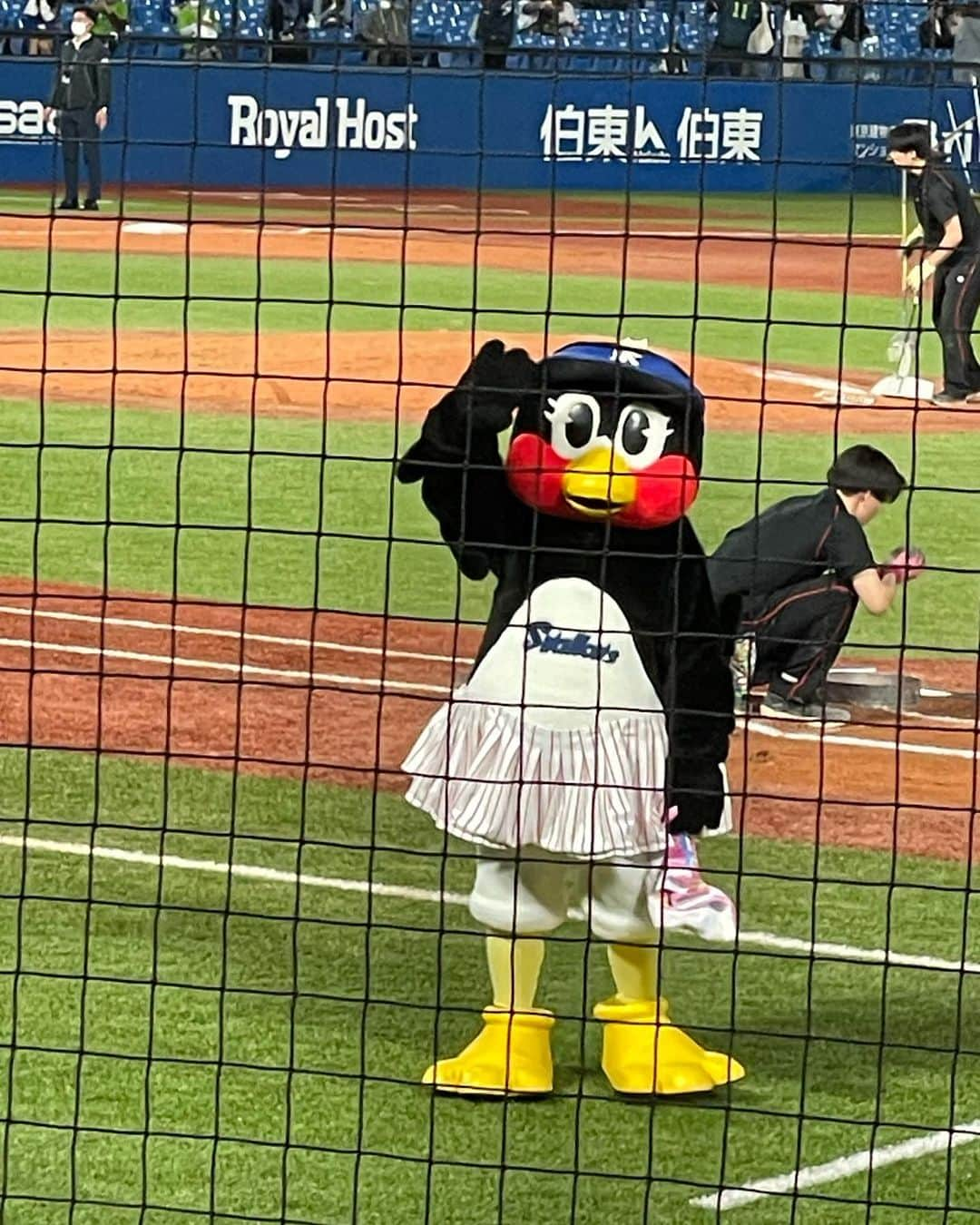 橘ゆりかさんのインスタグラム写真 - (橘ゆりかInstagram)「⚾️🐧⛱️ ⁡ ⁡ 5月の前半に行ったヤクルト応援📣😆 2日間すわほーだった日！！ ⁡ 神宮球場、日本青年館ホテルアングル✌️ ⁡ ⁡ #野球観戦 #東京ヤクルトスワローズ #神宮球場 #日本青年館ホテル #橘ゆりか #ヤクルトスワローズ #すわほー #ドアラ #つば九郎 #つばみちゃん #swallows #時差投稿」6月17日 16時15分 - yuricalcal