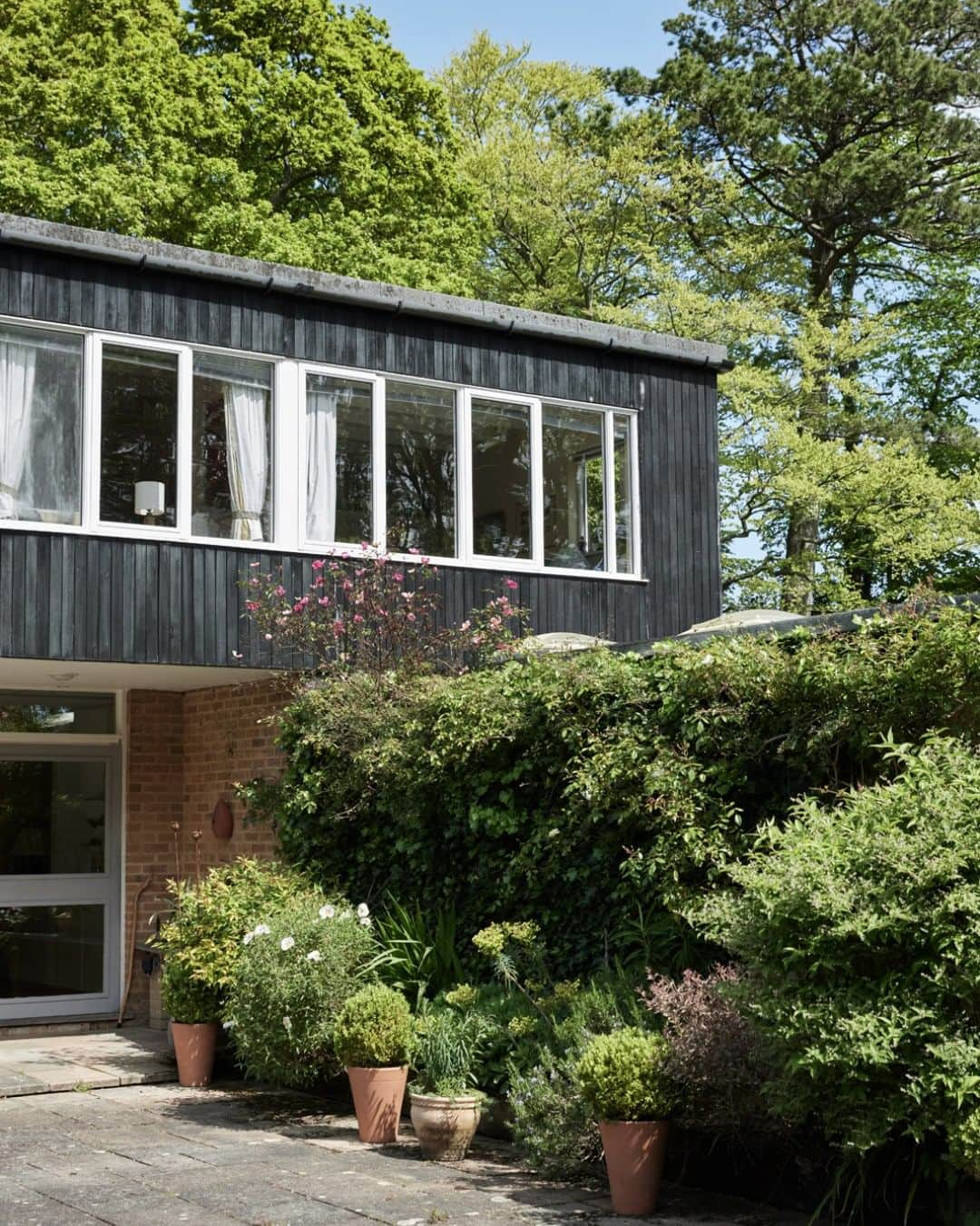 The Modern Houseさんのインスタグラム写真 - (The Modern HouseInstagram)「#forsale Garden Party: a modernist house in Sway, Hampshire, surrounded by verdant green space.  Follow the link in our bio to see the sales details.  Sway, Lymington, Hampshire.」6月17日 16時36分 - themodernhouse