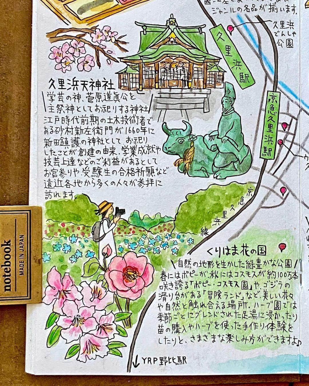 chintai_lifeさんのインスタグラム写真 - (chintai_lifeInstagram)「#住んだら手帳 第110弾は、新テーマ『#花と緑が豊かな街』 #久里浜 🌹他の街はこちら👉@sundara_techo ⁡ 久里浜は三浦半島の真ん中・横須賀市に位置する、海と緑に囲まれた街。 ⁡ ペリー提督率いる黒船艦隊が久里浜海岸に上陸してから170周年を迎える本年は、4年ぶりに「久里浜ペリー祭」が開催されます。バンドの演奏や模擬店、約3,500発の花火大会などが開催されるので要チェックです🎆 ⁡ 久里浜港の近くには良質な漁場も多く、鮮度抜群の海の幸を楽しめるのも魅力🐟 ⁡ 駅から歩いていける距離に、一年を通して色とりどりの花が楽しめる「くりはま花の国」やペリー公園などがあるので、自然にあふれる環境でのんびり暮らしたい人にぴったり🌷 ⁡ 久里浜には、JR横須賀線と京急久里浜線の2路線が通っており、京急久里浜駅直結のショッピングセンター「ウィング久里浜」や「京急ストア 久里浜店」などの商業施設があります。 ⁡ 近場で生活に必要なものを揃えることができるのは嬉しいですね🛒 ⁡ 商店街やスーパー、ドラッグストアも充実しているので、一人暮らしをしたい人にもおすすめの街だといえます。 ⁡ 個人経営の飲食店や居酒屋、カフェなども複数あるので気軽に外食を楽しるのもポイント☕ ⁡ 京急 久里浜線で #京急久里浜駅 から横浜駅までは乗り換えなしで38分ほど、品川駅まで1時間ほどと、緑豊かな環境でありながら都心へのアクセスも便利です🚃 ⁡ JR 横須賀線 #久里浜駅 は始発駅なので、ゆったりと座って通勤・通学することができますよ♩ ⁡ 東京湾フェリーの乗り場が近くにあるので、房総半島への小旅行を楽しめるのも魅力です⛴✨ ⁡ __ ⁡ そんな久里浜のランドマークは、 ⁡ 自然の地形を生かした緑豊かな公園 #くりはま花の国 🌼 ⁡ 春にはポピーが、秋にはコスモスが約100万本咲き誇る「ポピー・コスモス園」や、ゴジラの滑り台がある「冒険ランド」など、美しい花々や自然と触れ合える場所。ハーブ園では、季節ごとにブレンドされた足湯に浸かったり、苗の購入やハーブを使った手作り体験をしたりと、さまざまな楽しみ方ができますよ♩ ⁡ 🚃京急 久里浜線/京急久里浜駅より徒歩15分 __ ⁡ 👇久里浜のおすすめスポットはこちら✨ ⁡ 長く愛用できる新旧のアイテムが集まる場所 #暮らしと道具forum 🍽 ⁡ 店名の「フォルム」はラテン語で広場を意味する言葉。日本各地のものづくりを産地の特性と共に紹介し、ものづくりと人が交差する広場のような空間を目指したいとの思いで名づけられたのだとか。熟練の職人が手がけたタオルや、一点一点手作業で製造された醤油差しなど、さまざまなジャンルの名品が揃います。 ⁡ 🚃京急 久里浜線/京急久里浜駅より徒歩1分 ⁡ 学芸の神、菅原道眞公を主祭神としてお祀りする神社 #久里浜天神社 ⛩ ⁡ 江戸時代前期の土木技術者である砂村新左衛門が1660年に新田鎮護の神社として、お祀りしたことが創建の由来。学業成就や技芸上達などのご利益があるとして、お宮参りや、受験生の合格祈願など遠近各地から多くの人々が参拝に訪れます。 ⁡ 🚃JR 横須賀線/久里浜駅・京急 久里浜線/京急久里浜駅より徒歩15分 ⁡ 閑静な住宅街に佇むカフェ Lily Planet Cafe ☕ ⁡ 週替わりの特製ランチや季節の焼き込みタルトなど、ここだけの味が楽しめるお店。 店内には草花や店主選りすぐりのインテリアが飾られており、可愛らしい雰囲気です。作家さんによる雑貨を販売していることもあるそうなので、あわせてチェックしてみて！ ⁡ 🚃JR 横須賀線/久里浜駅・京急 久里浜線/京急久里浜駅より徒歩15分 ⁡ 三浦海岸の岬にある遠浅の海 #久里浜海岸 🌊 ⁡ ペリーが上陸した場所としても知られる海岸。穏やかで、のんびりと散歩するのにぴったりです。毎年7月には約3,500発の花火が打ち上げられる「ペリー祭花火大会」が開かれます。残念ながら昨年は中止でしたが、再開が待ち遠しいですね。歴史的資料やジオラマなどが展示されている「ペリー公園」も隣接しているので、要チェック。 ⁡ 🚃JR 横須賀線/久里浜駅・京急 久里浜線/京急久里浜駅より徒歩16分 ⁡ __ ⁡ illustrations by Tamy(@tamytamy2015) ⁡ 実際にMAPに登場するお店や街を訪れたら、 #住んだら手帳 をつけて写真を投稿してね📷 ⁡ 本企画では、あの街に「住んだら？」をテーマに手書きのイラストマップを手帳に一発書きして紹介していきます📖✨ ⁡ ※新型コロナウイルスの感染拡大防止のため、営業時間の変更・休業の可能性があります。お出かけの際は公式サイト等でご確認ください ⁡ #travelersnotebook #midoritravelersnotebook #LilyPlanetCafe #トラベラーズノート」6月17日 17時41分 - sundara_techo