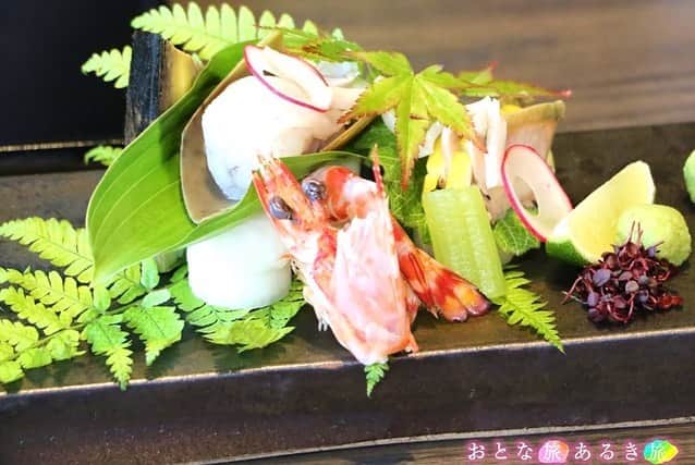 テレビ大阪「おとな旅あるき旅」さんのインスタグラム写真 - (テレビ大阪「おとな旅あるき旅」Instagram)「.  -------------------------------------------  きょうの#おとな旅あるき旅 は…  長崎・雲仙 地元で愛される美味いもん！  ------------------------------------------  九州の品評会で金賞を受賞した大吟醸に 長崎のソウルフード「じゃがちゃん」とは一体！？  2年前に誕生したご当地グルメに 老舗の湯宿でいただく山海の幸！  さらに温泉街では足湯でひとやすみ♨️  今日18:30からぜひご覧ください🧚‍♀️  -------------------------------------------  #テレビ大阪 #三田村邦彦 #斉藤雪乃 #長崎 #長崎グルメ #長崎観光 #長崎ランチ #雲仙 #雲仙観光 #雲仙グルメ #千々石展望台 #千々石観光センター #じゃがちゃん #あい娘酒造 #六兵衛茶屋 #雲仙ロープウェイ #つむら農園 #雲仙ジオバーガー #雲仙地獄 #Marcoscafe #雲仙宮崎旅館 #雲のなかcafe」6月17日 17時47分 - tvo.otonatabi