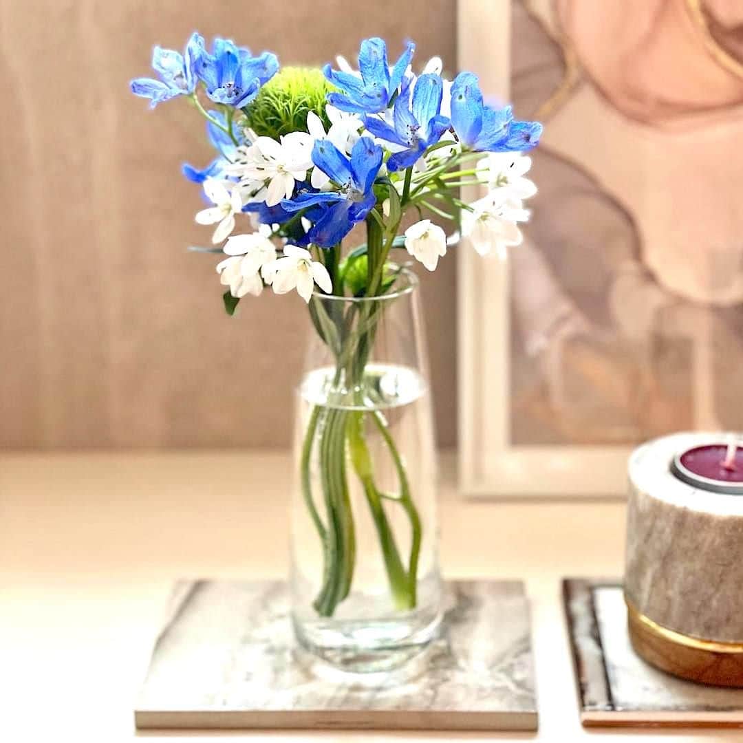 Bloomee LIFEさんのインスタグラム写真 - (Bloomee LIFEInstagram)「お部屋にブルーのお花を飾って 涼しさを演出💠  デルフィニウムの 繊細な花びらが フワフワと軽やかな印象✨  花言葉は 「あなたは幸せをふりまく」です🍀  @mame_to_tama さんのお写真  #bloomee#ブルーミー#お花の定期便#癒し時間#サブスク#花のある生活#花好きな人と繋がりたい#花写真#花が好き#花を飾る#丁寧な暮らし#お花のある暮らし#暮らしを整える#おうち時間#インテリア」6月17日 18時00分 - bloomee