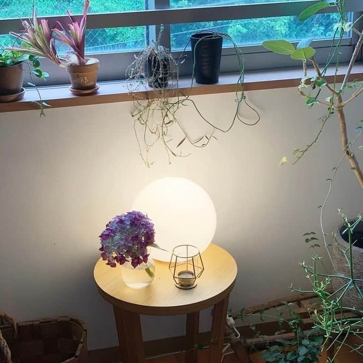 のインスタグラム：「店長佐藤のアカウント（@tomokosato_hokuohkurashi）からお届けしている一コマ。先週のリビングの様子をお届けします💐 . - - - - - - - - - - - - ■ 店長佐藤：  「雨の日曜日の風景。 シトシト雨が降るなか、 傘をさして花屋まで。 今週は雨の日がながく続きそうだから、 紫陽花を買い足しに。  先週買ってきた紫陽花もまだ元気。  部屋のなかに紫陽花の彩りが増えて、 明日からの雨の日々も これでなんとか乗り切れるかな！？  雨降りで外が暗い日は昼間から 間接照明をつけるのも定番な過ごし方です。  ちょうど今夜配信のラジオ 「チャポンと行こう！」は 雨の日の過ごし方がトークテーマです☂️」  - - - - - - - - - - - 店長佐藤のアカウントでは、愛用品や 自宅インテリア、日々の暮らしを更新中！ ぜひフォローしてご覧になってみてくださいね。 ➔@tomokosato_hokuohkurashi . #interior#interiors#livingroom#homedecor#instahome#homewares#紫陽花#雨の日#花のある暮らし#花のある生活#グリーンのある暮らし#グリーンのある生活#植物のある暮らし#植物#観葉植物#北欧雑貨#北欧インテリア#インテリア#ダイニング#リビング#リビングインテリア#北欧#暮らし#日々の暮らし#北欧暮らしの道具店」
