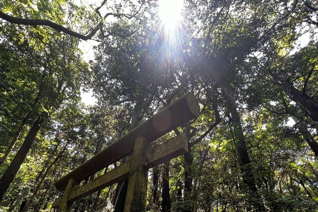 鳥越裕貴さんのインスタグラム写真 - (鳥越裕貴Instagram)「⛩️ #鹿島神宮 #息栖神社 #香取神宮  #東国三社 #茨城県 #千葉県  #神社 #神社巡り #御朱印  #一の宮 #御朱印帳 #紫陽花 #空気 #綺麗 #癒し  #隙あらば神社巡り #天気良し」6月17日 18時39分 - yuki_torigoe.cleftchin