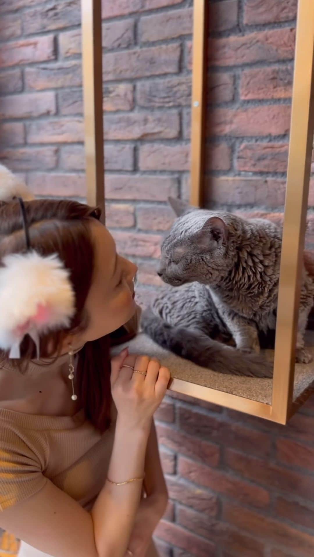 松田唯花のグルメインスタ