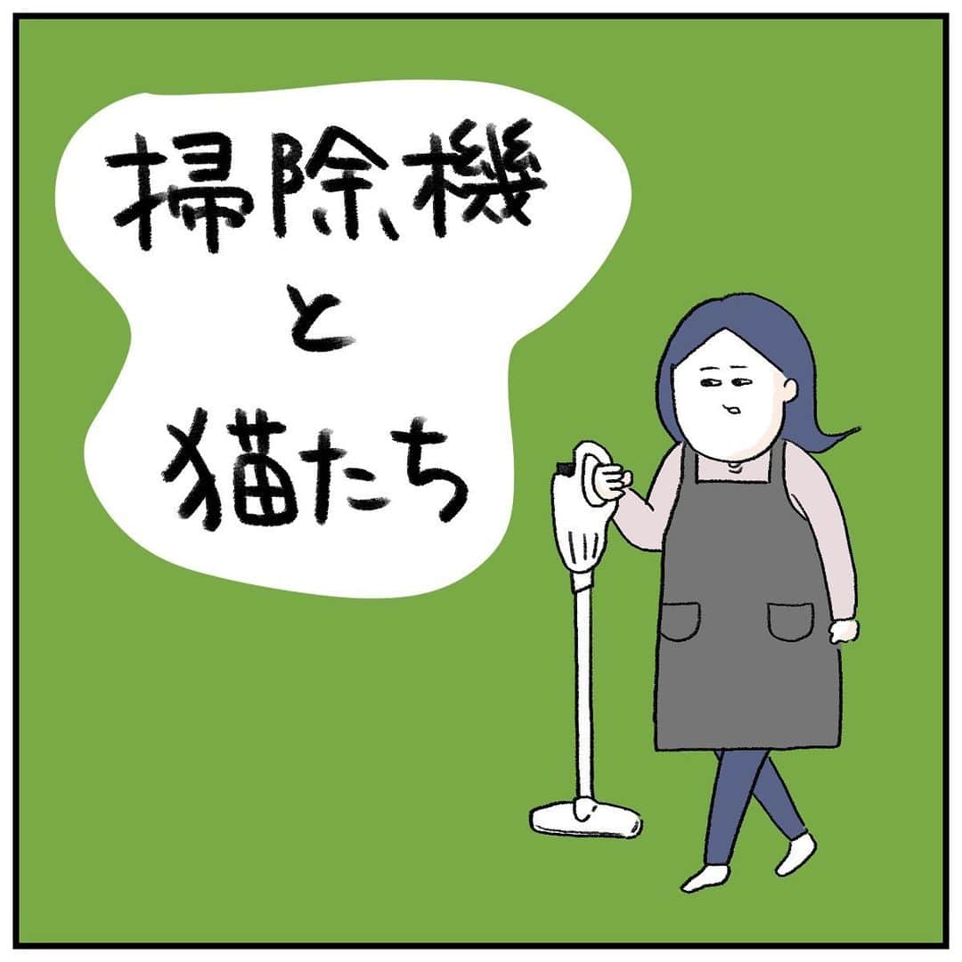 うえだしろこのインスタグラム：「夏は抜け毛が激しいからこのまま掃除機で吸わせていただく。  #育児漫画 #育児日記 #育児絵日記 #コミックエッセイ #ライブドアインスタブロガー #猫のいる生活」