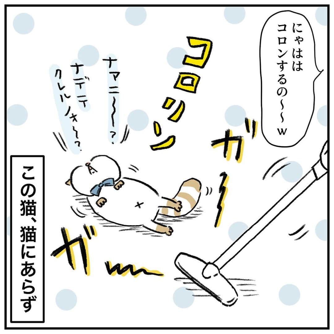 うえだしろこさんのインスタグラム写真 - (うえだしろこInstagram)「夏は抜け毛が激しいからこのまま掃除機で吸わせていただく。  #育児漫画 #育児日記 #育児絵日記 #コミックエッセイ #ライブドアインスタブロガー #猫のいる生活」6月17日 19時42分 - shiroko_u