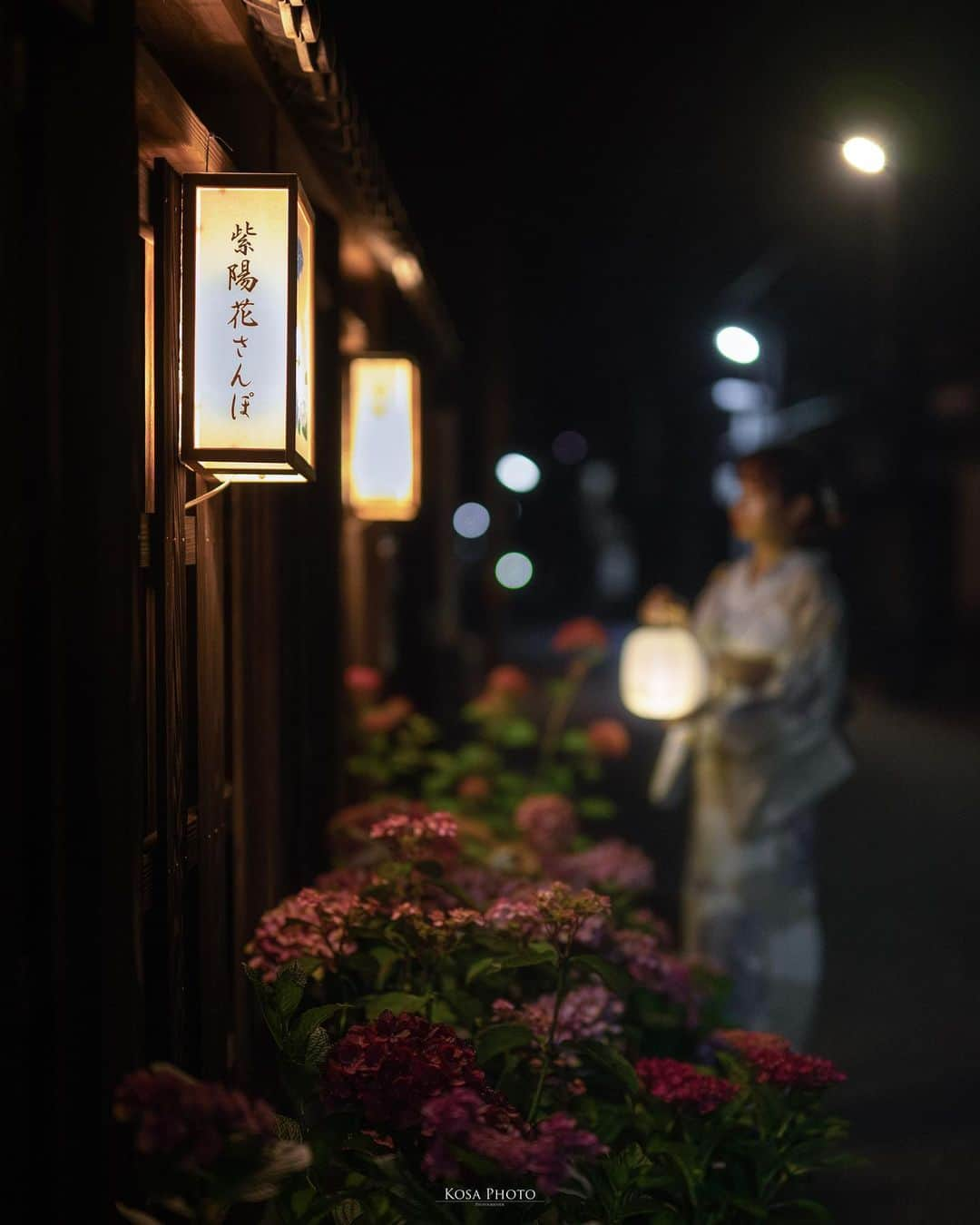 コサさんのインスタグラム写真 - (コサInstagram)「湯浅まちなみ 紫陽花さんぽ  日中も良かったのでライトアップも行ってきました あっ 日中の写真をポスト忘れてますね…😅  湯浅町の古い町並みは風情があり、ライトアップもまた一段と素敵でした😍 メインの甚風呂エリア以外にも、ポイントは幾つかありますので探しながら散策するのも楽しいですよ🎵 . Location:和歌山 / Japan🇯🇵 Date:2023年6月 Camera:Z9 in frame: @chami_2nd Official:@yuasahirogawa_ekiwaku . #あじさい #紫陽花 #湯浅町 #甚風呂 #ポトレファン倶楽部 #ポトレ撮影隊 #jp_mood #jp_portrait部 #何気ない瞬間を残したい #NSG_IG #japan_night_view_member #nikoncreators #nikoncreators_2023joy #暗がり同盟 #未来をえがくキャラis #mf_landscape #Rox_Captures #clv_galerie #raw_japan #deaf_b_j_ #tokyocameraclub #Lovers_Nippon #jgrv_member #team_jp_ #photo_jpn #sorakataphoto #LBJ_KING #nipponpic_member #広がり同盟メンバー #special_spot_legend」6月17日 19時53分 - kosa_photo