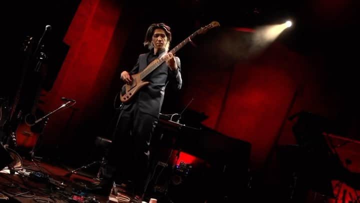 森田悠介のインスタグラム：「Solo bass "Bulerias" from solo live @adamovicbasses @markbassamps @markbass_dvmark_jp   #bass #basssolo #bassist #bassplayer #adamovic #markbass #flamenco #bulerias #improvisation #suitstyle  #ベース #ソロ #ライブ YouTubeにフルあげました、年末のソロより @spc_1997」