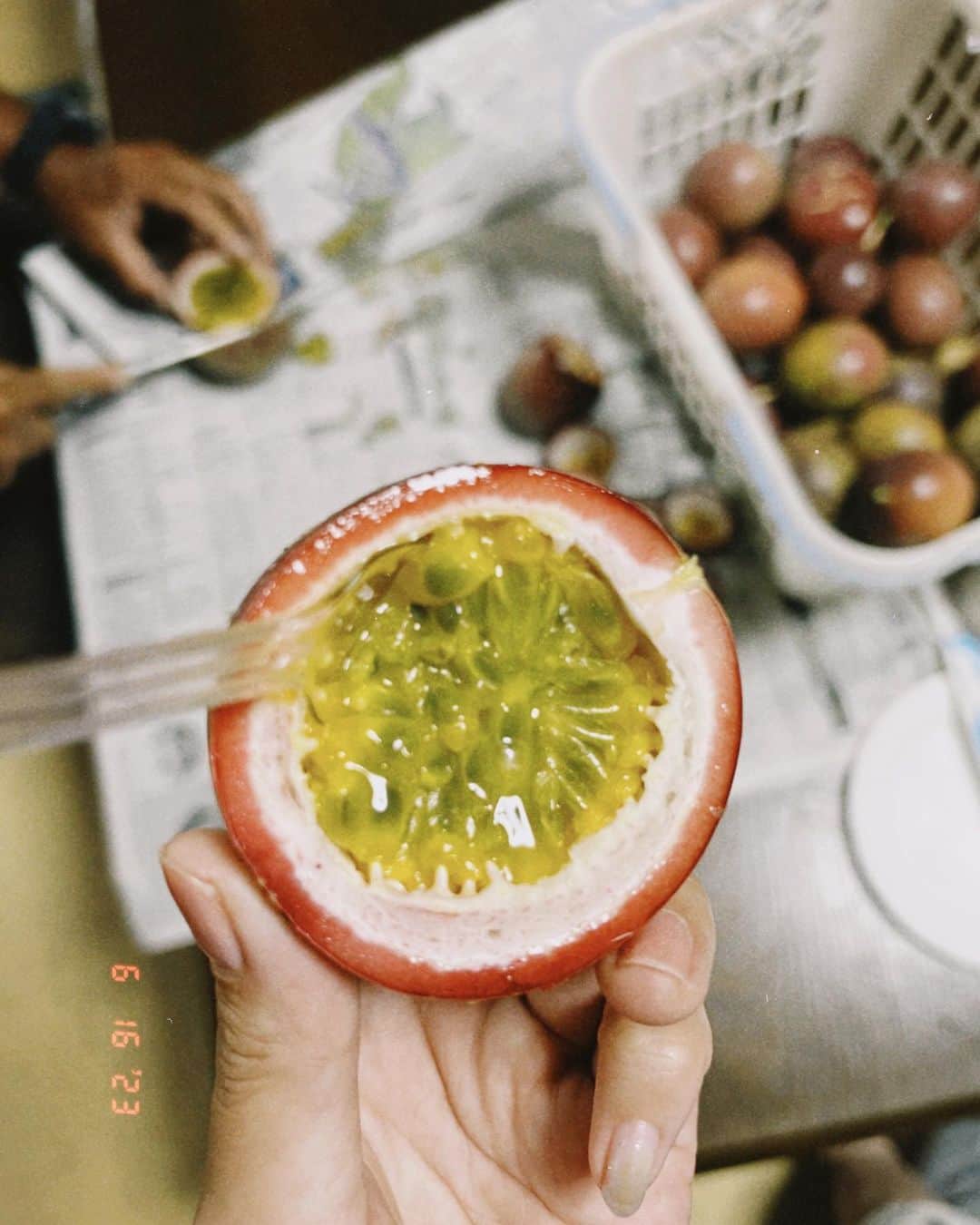 かーなーのインスタグラム：「庭から収穫して食べるスタイル🥭🥭 #パッションフルーツ」