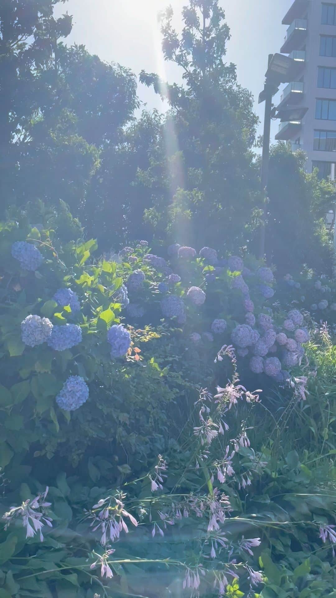 青山あみのインスタグラム：「Orb of Light🪐✨💫」