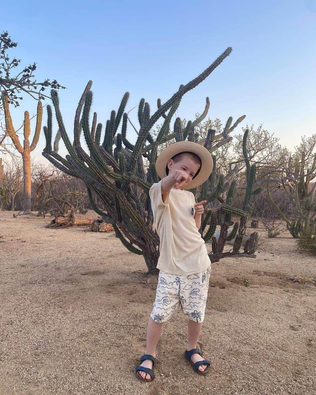 マンディクーンさんのインスタグラム写真 - (マンディクーンInstagram)「Grey requested we take a vacation photo of him, which he then styled and art directed himself.  I present to you, Vacay Grey.」6月18日 6時41分 - mandycoon