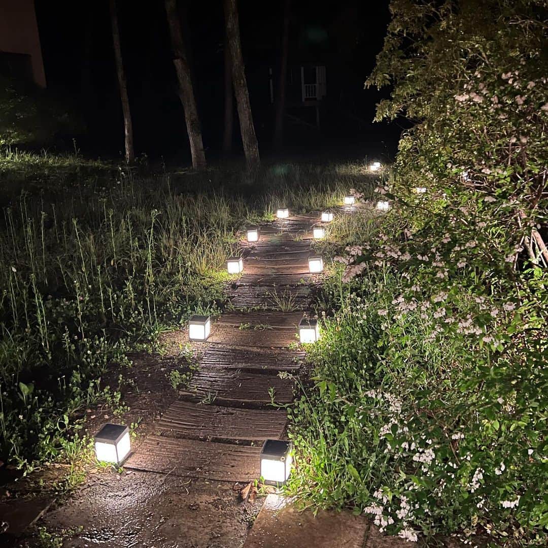 岡田美里さんのインスタグラム写真 - (岡田美里Instagram)「リノベ順調です！ ここは自分でコツコツと。 コツコツというほど素敵なカンジではなかったけど笑 ノリウツギの白い花から芳しい香り。梅雨の晴れ間に。」6月18日 6時39分 - millieokada