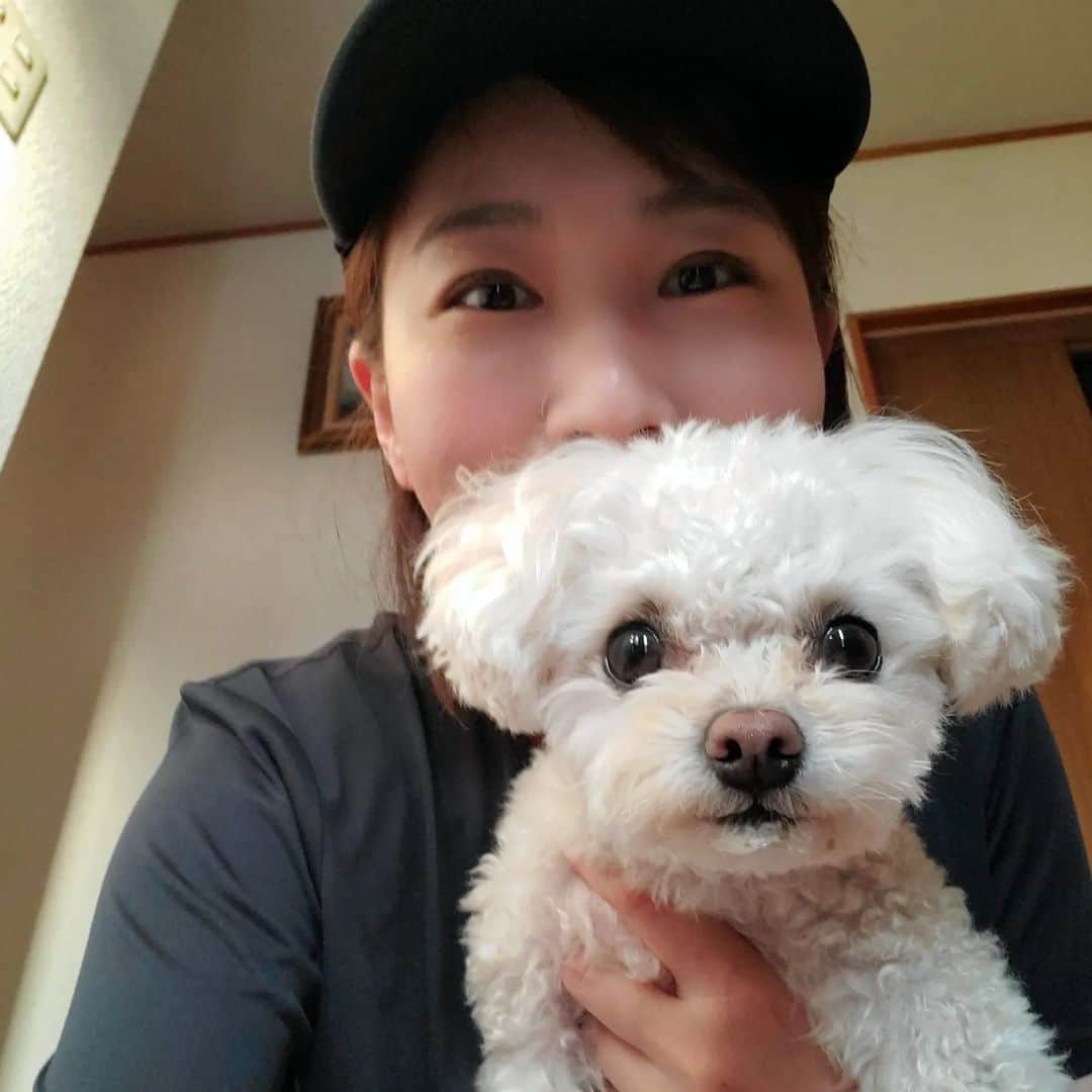 水野友貴さんのインスタグラム写真 - (水野友貴Instagram)「メーちゃんのことが好きすぎてちょっとでも外出するのがツラい(涙) 議会が始まり、離ればなれの時間が長い。。。  #チワプー #犬との暮らし #chihuapoo #チワプーmix犬 #チワプー女の子 #dogstagram #doglover」6月17日 22時58分 - mizunoyuuki