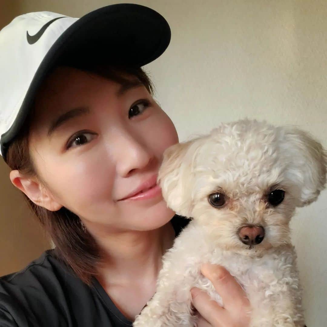 水野友貴さんのインスタグラム写真 - (水野友貴Instagram)「メーちゃんのことが好きすぎてちょっとでも外出するのがツラい(涙) 議会が始まり、離ればなれの時間が長い。。。  #チワプー #犬との暮らし #chihuapoo #チワプーmix犬 #チワプー女の子 #dogstagram #doglover」6月17日 22時58分 - mizunoyuuki