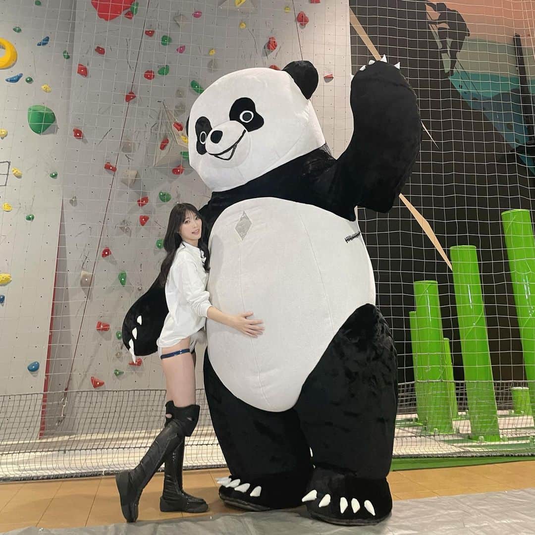 赤井沙希のインスタグラム：「DDT札幌大会DAY1でした✨ 私のパートナーおきゃわ🥹♡  ときめいててずっとご機嫌でした🥰🥰  大きくて強くてふわふわで最高🐼♡♡  #ddtpro #prowrestling  #prowrestler  #アンドレザジャイアントパンダ」
