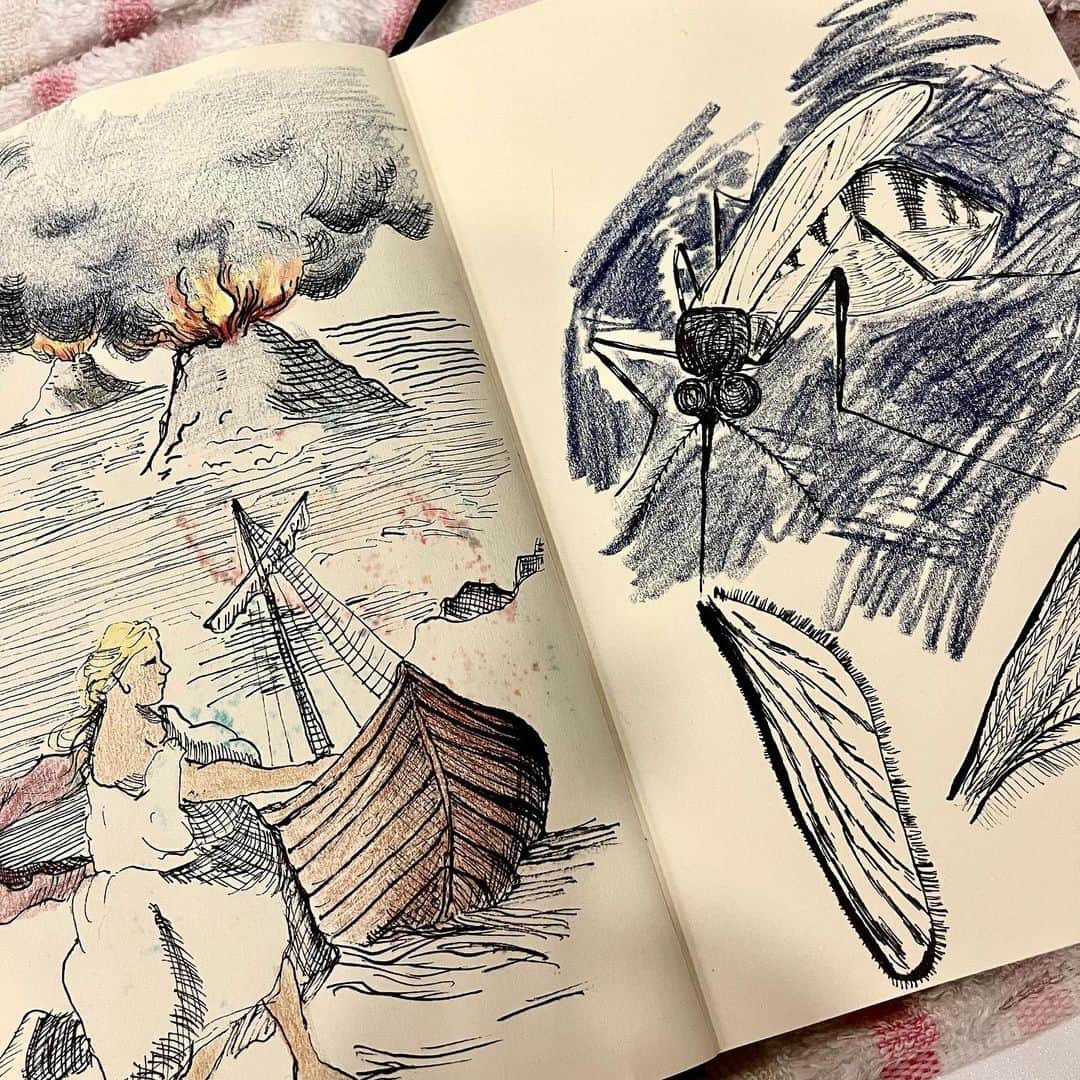 池田有希子のインスタグラム：「ふでdeまんねんの、逆に反ったペン先が楽しうて楽しうて。エッチングみたいに細い線もフトブトとした線も描ける。ピアニシモからフォルテシモ！的な。全然満足するコントロールなぞ出来ないし、コントロール出来なさを楽しみたい、と思えるのがアマの特権なので。  #fudedemannen #sketchbookdrawing #sketchbook」