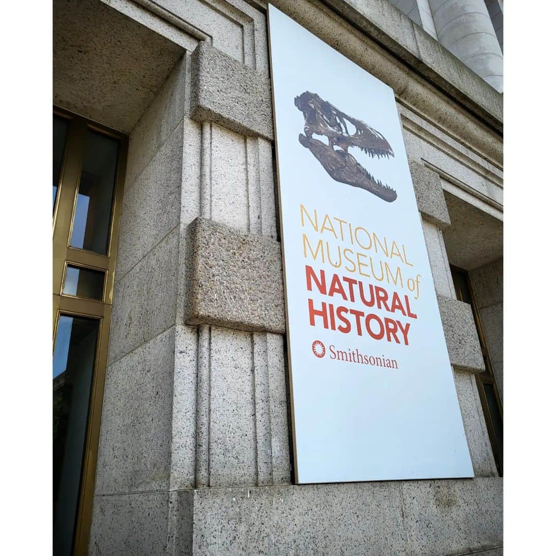 ソ・ユジンさんのインスタグラム写真 - (ソ・ユジンInstagram)「#smithsonian #nationalmuseum #nationalhistory #nationalgalleryofart」6月17日 23時53分 - yujin_so