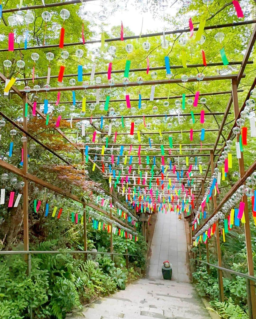 高嶋りえ子のインスタグラム：「🍃かえる寺にて❤️🍃今週は岡山、先週は福岡、佐賀、熊本、宮崎✈️🏝次のフランスは今月末を予定🎉高嶋化粧品&高嶋オリジナルスカート&フレンチアパレル販売中  ✏️知らない非公開アカウントは全てブロックしています。  🌺 🌺✈️shopping &travel to Paris&London &JAPAN🌸今年のGWはスタッフ達はイタリア🇮🇹、私は愛犬と鹿児島・沖縄・宮崎・佐賀kyoto→Tokyo→Paris→London→SAGA✈️⛩🥰🌸🏝☀️高嶋パリ支局開設🎉✨パリ・ベルギー・モナコ・オーストリアでお買い物 Thank you for watching. I will introduce my favorite Japanese food and the beautiful scenery of Japan, the kimono. Thank you for following me.  🎉✨【blog】アメブロhttps://ameblo.jp/ginzatakashima1/ 🎉✨【contact】問い合わせcosme@💠#着物女子  💠#きもの ginzatakashima.co.jp 🎉✨【shop】高嶋化粧品https://ginzamama.shop-pro.jp/ 🎉✨【Twitter】ツイッターhttps://twitter.com/ginzatakashima?ref_src=twsrc%5Egoogle%7Ctwcamp%5Eserp%7Ctwgr%5Eauthor 🎉✨【YouTube】ユーチューブhttps://youtube.com/channel/UCz2I6_nWCHcr7YlkkFyJWwg  会員様以外のご質問には何一つお答えする気がございません 悪質な名誉毀損・営業妨害・肖像権侵害は全て弁護士にお任せしています。  💠#バーキンセリエ25  💠#嬉野温泉 💠#インザループ  💠#ピコタンロック  💠#椎葉山荘  💠#travelphotography  💠#ツヤ肌メイク  💠#あじさい  💠#エルメス 💠#大谷翔平 選手を応援📣 💠#HERMES 💠#japantravel  💠#japantrip  💠#和楽園  💠#銀座のママ  💠#銀座ママ  💠#着物ヘア  💠#tokyo  💠#fendi  💠#japanesefood  💠#japantravel  💠#japan_of_insta  💠#銀座ホステス  ✨✨✨✨✨✨ ✨✨✨✨✨ 商標侵害を発見された方は、下記のメールにてご連絡下さい👩‍🏫  ⚠️DM・コメント・勧誘・営業電話お断り ⚠️電話はお断りします。会話内容は全て自動録音 ⚠️現在、ホステスの募集はしておりません ⚠️銀座高嶋は同業者ご来店お断り ✨高嶋化粧品は私が開発した銀座りえ子ママEXホワイトモイスチュアー成分入り#louisvuitton  #美肌　#ootanisyouhei 詳しくはブロ🐶❤️👩‍🏫 #パワースポット巡り #大谷翔平 #birkin ✨👩‍🏫 銀座りえ子ママの美肌の秘密は高嶋化粧品✨#美しいキモノ  ワードプレスブログ https://ginzatakashima.net/ ・ ・ Management of cosmetics company and hostess bar 元失恋OLが3年で銀座のオーナーママ ✨Bar&Club高嶋🥂銀座4店都内10店舗経営 ✨詳しくはブログ『銀座ママ』でgoogle検索 📝アメブロhttps://ameblo.jp/ginzatakashima1 ・ ・ ✨銀座りえ子ママの美肌&ダイエットの秘密詳しくは ✨銀座のママが作った高嶋化粧品 🎀https://ginzamama.shop-pro.jp/ ・ ・ ⭐️取材・講演会・高嶋化粧品購入者はご入金後⭐️ 🎀cosme@ginzatakashima.co.jp 銀座クラブ&バー高嶋は完全会員制  一見さんお断り」