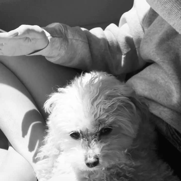 アシュレイ・ティスデイルのインスタグラム：「Maui not a day goes by that I don’t think of you. I can’t believe it’s been 4 years, it feels like forever. I feel you all around us, I think it’s very interesting that juju named one of her stuffed puppies Maui Puppy. It shows she knows how much you meant to our family. When she asked where you are we told her your in our hearts and she said “Maui in juju heart too”. I love you my angel ❤️」