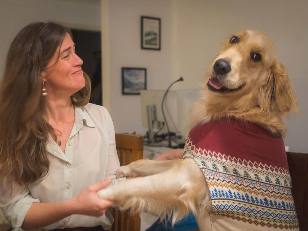 サイモンとマルティナさんのインスタグラム写真 - (サイモンとマルティナInstagram)「Happy Birthday Fudgy! Today, my best friend turns three years old. We’ve spent a lot of the last year playing in parks and hiking through forests, sitting in cafes and cars, and exploring around Portugal, Spain, and France.   I realize how much my world changed from having Fudgy with me. Everywhere I go with him, I’m in a bubble of people walking up to me and smiling, using their soft and happy voices, and melting their hearts as they pet him. He makes everyone around him happy, some to the point of tears. I’ve made some great friends because of him too, and he’s connected me with the world when I’ve felt like retreating from it.   Thank you Fudgy for bringing so much joy to my life, and to the lives of others ❤️」6月18日 3時44分 - eatyourkimchi