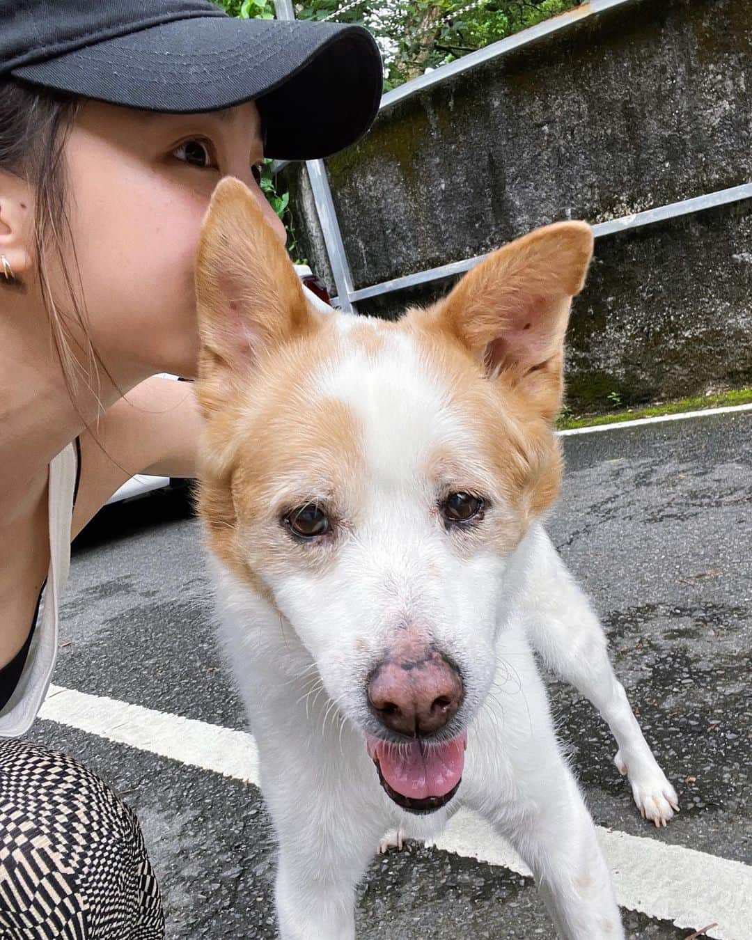 ジングルワンのインスタグラム：「： 轉眼間你也成為老阿伯了 姊姊愛捏🤍🐶」