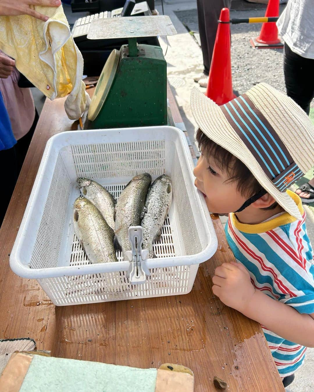 阪本智子さんのインスタグラム写真 - (阪本智子Instagram)「🎣♡  ニジマス釣り  制限時間３０分で５匹GET🩷  お魚大好き碧羽くん 釣れるたびに大喜びでした😆  #釣り #ニジマス釣り #餌釣り #兄弟ママ #阪本智子」6月18日 16時02分 - tomoko_sakamoto423