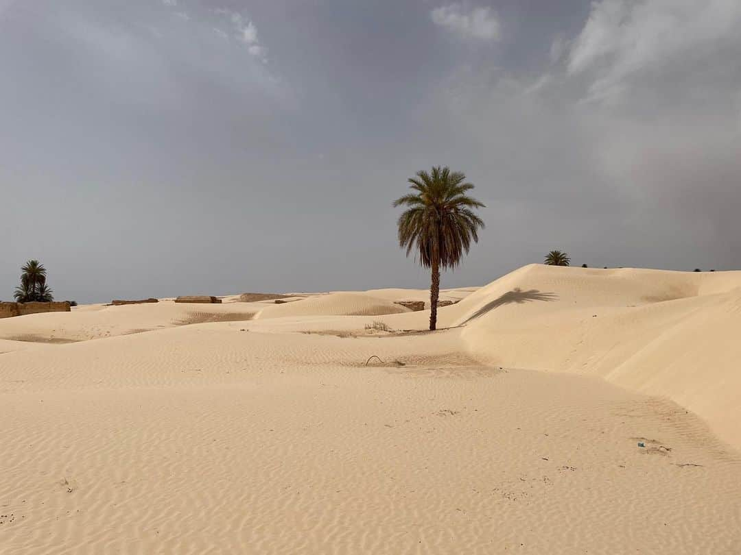 なっちゃんさんのインスタグラム写真 - (なっちゃんInstagram)「In the Sahara Desert サハラ砂漠にて。ラクダ🐫か四輪バギーを選べて、迷わずバギーにしました(笑)ラクダなんて乗ってられないほどの暑さ(笑) まぁわたし大型二輪乗れるし？？と思ってたら意外と運転むずかった  #サハラ砂漠 #砂漠 #四輪バギー #チュニジア旅行 #チュニジア #トズール #海外旅行 #海外 #旅行 #旅好きな人と繋がりたい #sahara #saharadesert #tunisia #visittunisia #northafrica #buggy #traveltheworld #travelawesome」6月18日 16時27分 - bored_motor