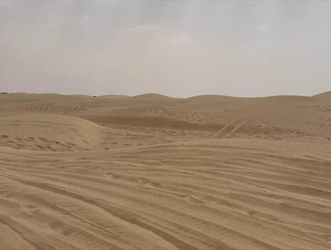 なっちゃんさんのインスタグラム写真 - (なっちゃんInstagram)「In the Sahara Desert サハラ砂漠にて。ラクダ🐫か四輪バギーを選べて、迷わずバギーにしました(笑)ラクダなんて乗ってられないほどの暑さ(笑) まぁわたし大型二輪乗れるし？？と思ってたら意外と運転むずかった  #サハラ砂漠 #砂漠 #四輪バギー #チュニジア旅行 #チュニジア #トズール #海外旅行 #海外 #旅行 #旅好きな人と繋がりたい #sahara #saharadesert #tunisia #visittunisia #northafrica #buggy #traveltheworld #travelawesome」6月18日 16時27分 - bored_motor