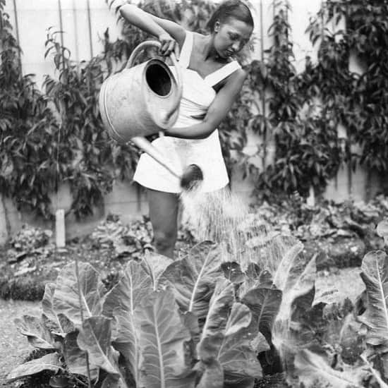 Meganのインスタグラム：「Josephine Baker tending the garden at her home, the Chateau des Milandes, 1938 🌿  . . . . #josephinebaker #gardening #watering #chateau」