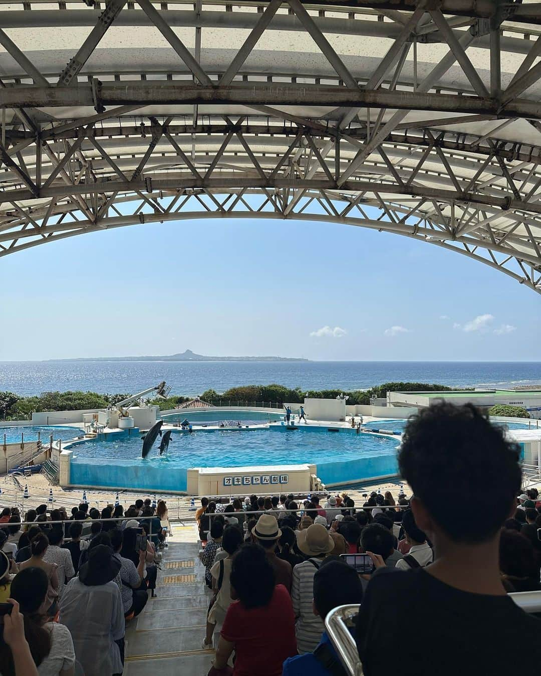 松本明子さんのインスタグラム写真 - (松本明子Instagram)「・ ５年ぶりぐらいに行った、美ら海水族館🐟前回来た時の事はほとんど覚えてなかった2人😂そんなもんかー😇帰りの車ではイルカショーのおきちゃん劇場の話題で持ちきりでした🐬 ・ #美ら海水族館#沖縄#沖縄旅行 #okinawa#子連れ沖縄 #年子」6月18日 16時52分 - ata_1026