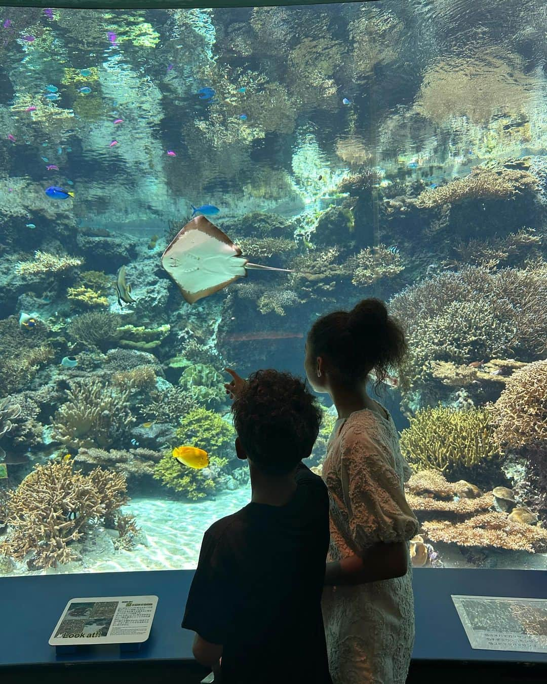 松本明子さんのインスタグラム写真 - (松本明子Instagram)「・ ５年ぶりぐらいに行った、美ら海水族館🐟前回来た時の事はほとんど覚えてなかった2人😂そんなもんかー😇帰りの車ではイルカショーのおきちゃん劇場の話題で持ちきりでした🐬 ・ #美ら海水族館#沖縄#沖縄旅行 #okinawa#子連れ沖縄 #年子」6月18日 16時52分 - ata_1026