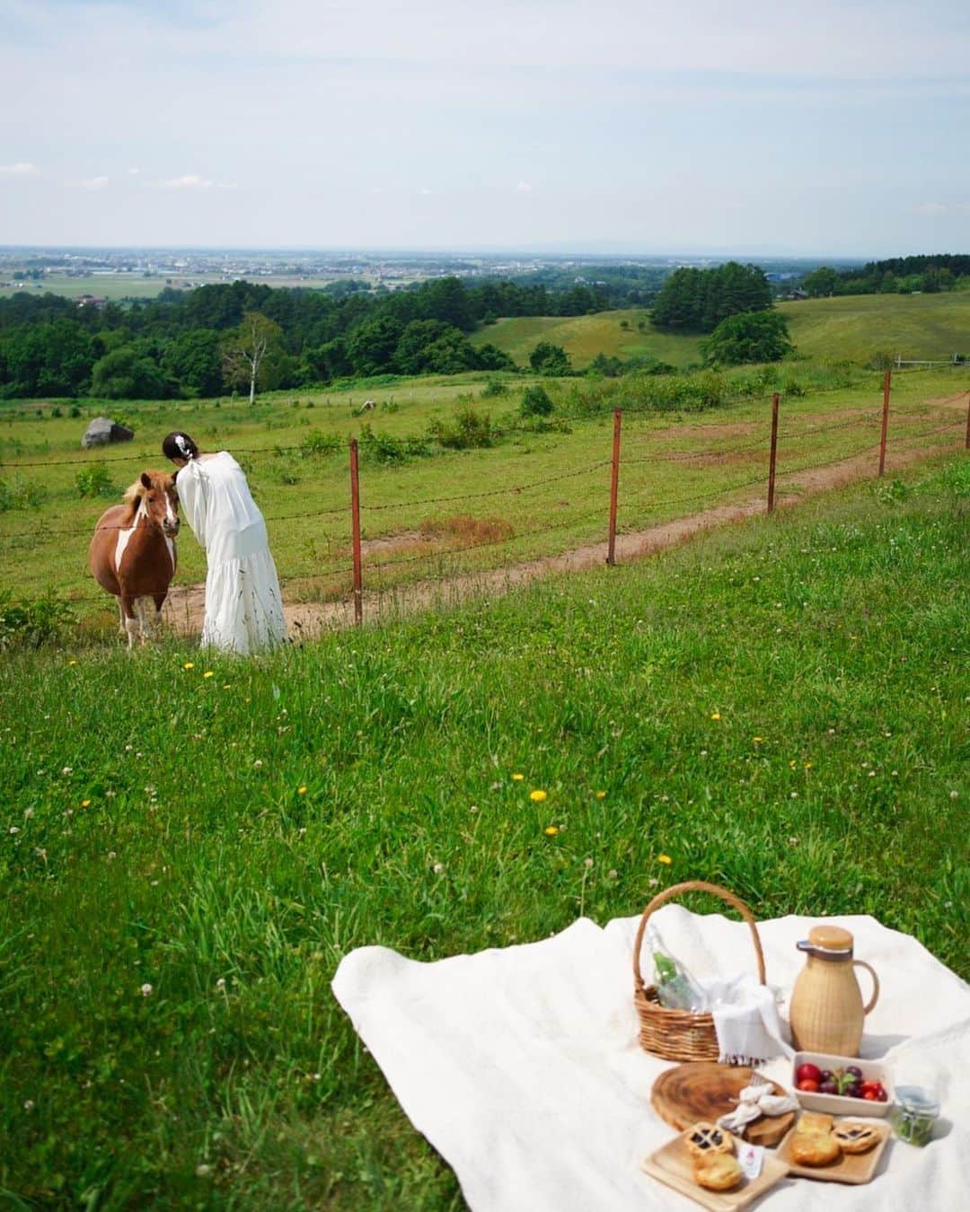 sayoko_betseyさんのインスタグラム写真 - (sayoko_betseyInstagram)「farm picnic🧺🐴 ⁡ 近くで美味しいパイを買って、見晴らしの良い場所でピクニック ⁡ 馬とか羊もなんだなんだと見に来るけど、 餌はないと分かると、またふらりと広い牧場の彼方へ行ってしまった ⁡ ⁡ @ma0na2mi ちゃんが子供の頃遊びに来ていた思い出の牧場らしい🐴 こんな絶景が広がってて、動物ものびのび暮らしてて、人も少ないからのんびり 北海道生活の魅力は尽きない ⁡ #farmpicnic #picnic #hokkaido #naganuma #北海道 #長沼 #ハイジ牧場 #初恋 #初恋ロケ地 #ピクニック #牧場 #牧場ピクニック #週末野心 #北海道に恋してる」6月18日 17時07分 - sayoko_betsey