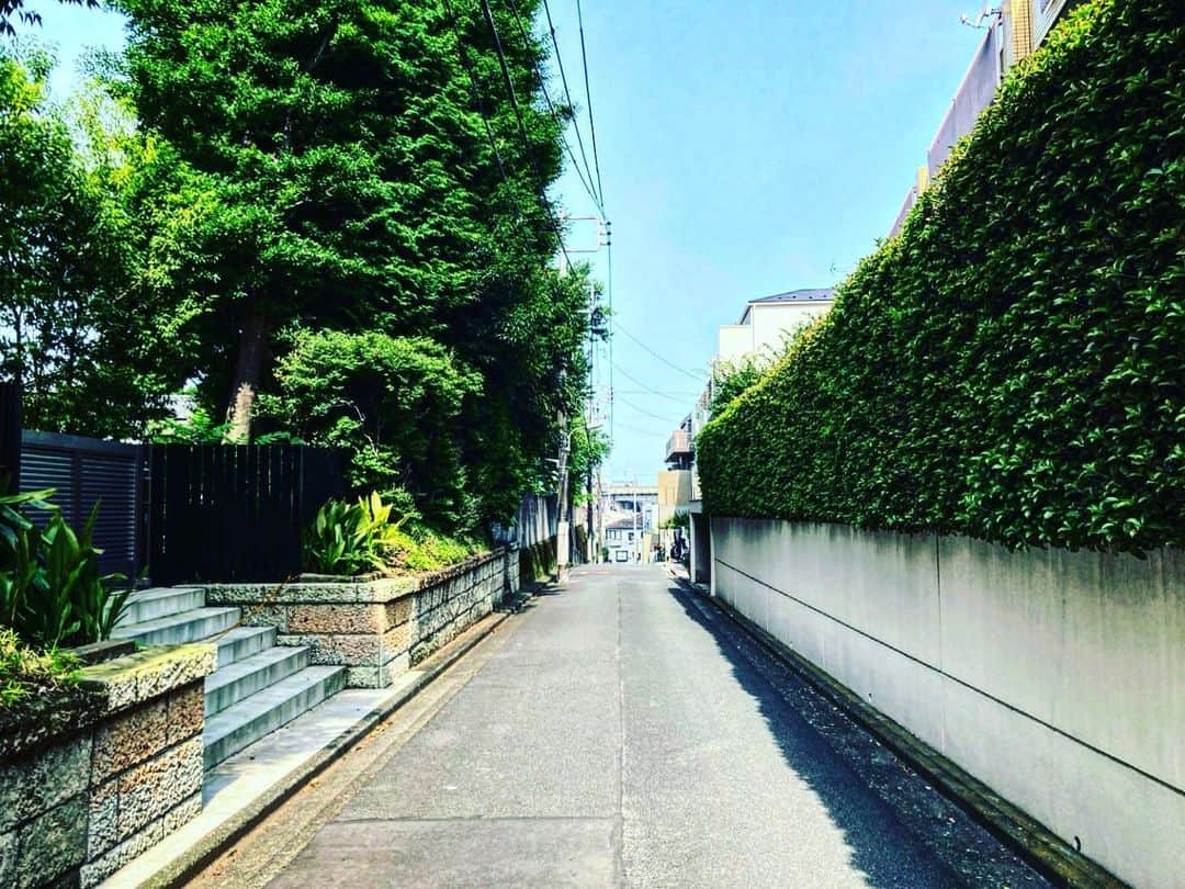 宇田川大輔のインスタグラム：「本日の朝ラン #朝ラン #running #城南エリア」