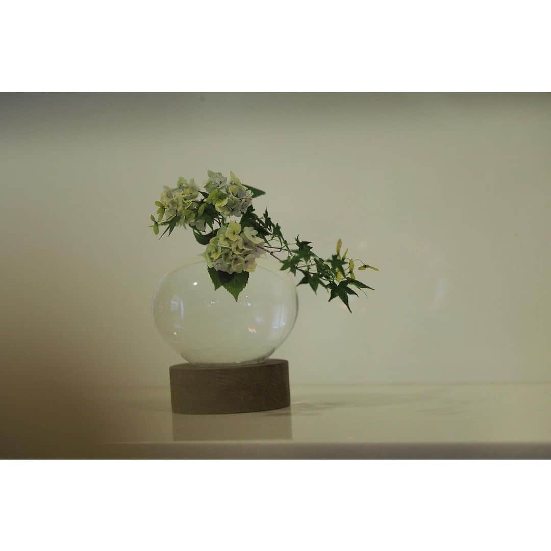 陶屋なづなさんのインスタグラム写真 - (陶屋なづなInstagram)「6/15 紫陽花の会より 4年前にご購入くださいました 艸田正樹（硝子）／羽生野亜（木工）のコラボレーション✨  Masaki Kusada ／Noa Hanyu Exhibition 2023.6.22thu-7.8sat 艸田正樹（硝子） / 羽生野亜（木）　展  初日6/22㈭在廊予定  #艸田正樹 ／#羽生野亜　 美しい作品の饗宴、どうぞおたのしみに。  #艸田正樹 #羽生野亜 #硝子の器 #木の器 #うつわ #interior#interiordecor  #interiorart#インテリアアート  #interiordesign  #インテリアデザイン  #展覧会情報　 #奈良#真美ケ丘#広陵町 #陶屋なづな」6月18日 10時21分 - hirohiro0220