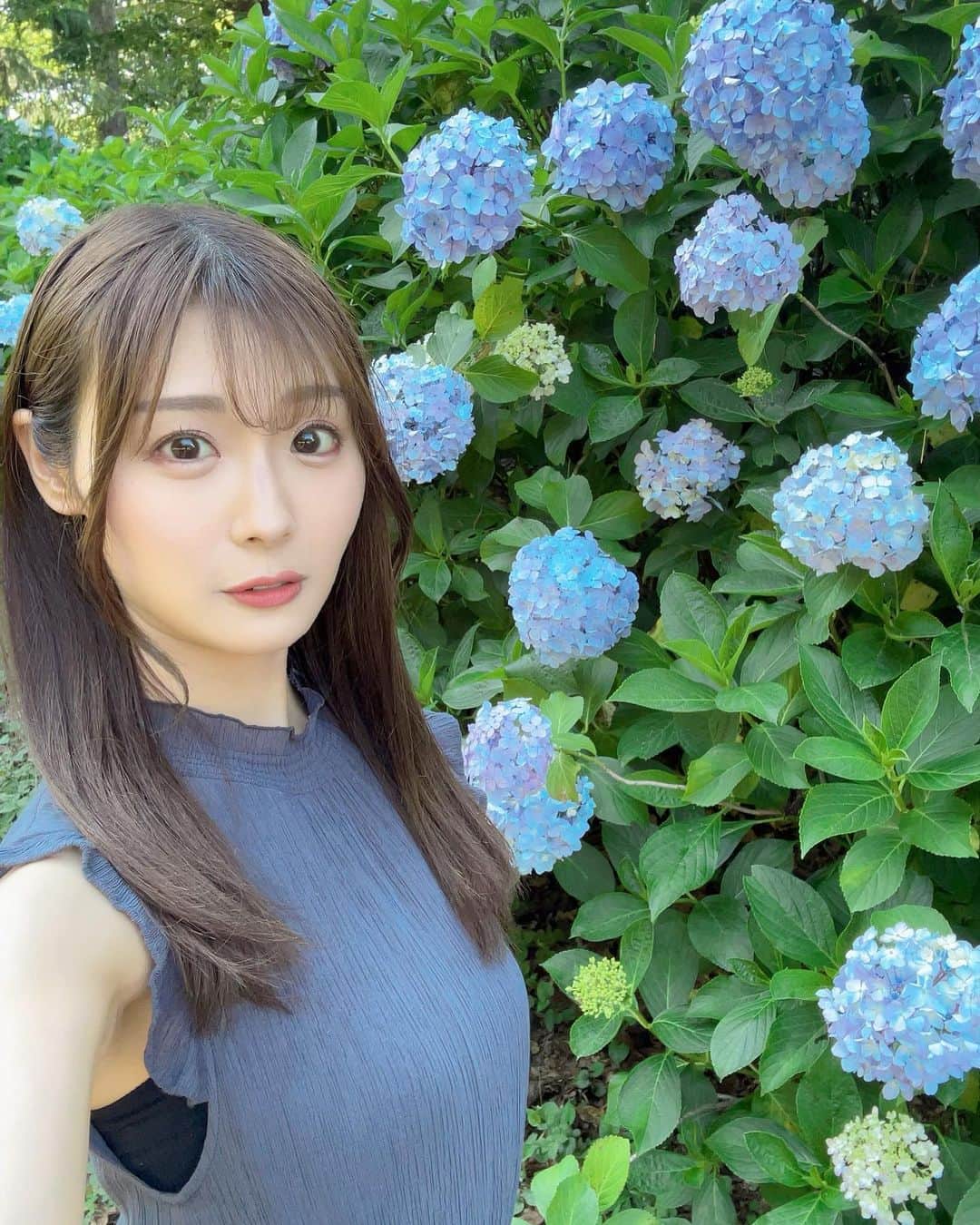 のインスタグラム：「. 今年の紫陽花、もう見ましたか？🐌☂️ お花の中でもすごく好きなお花です。 . . . #雪音まりな #model #モデル #被写体 #dancer #actress #インフルエンサー #influencer #japanese #yukinemarina #紫陽花 #あじさい」