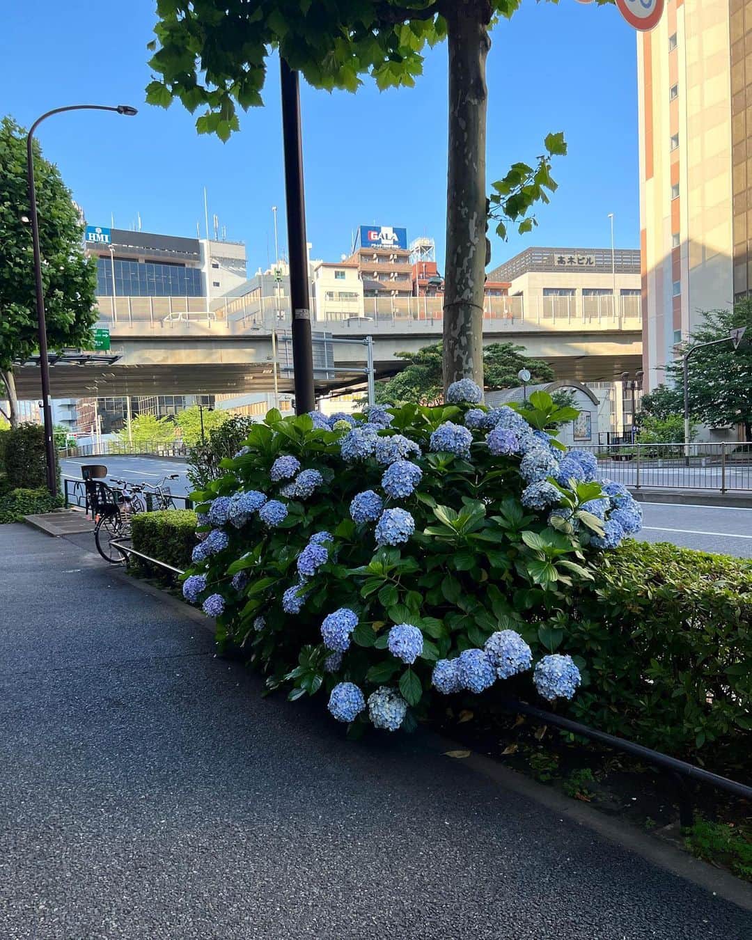椎名直子さんのインスタグラム写真 - (椎名直子Instagram)「6月の  好き」6月18日 10時48分 - natadecoco