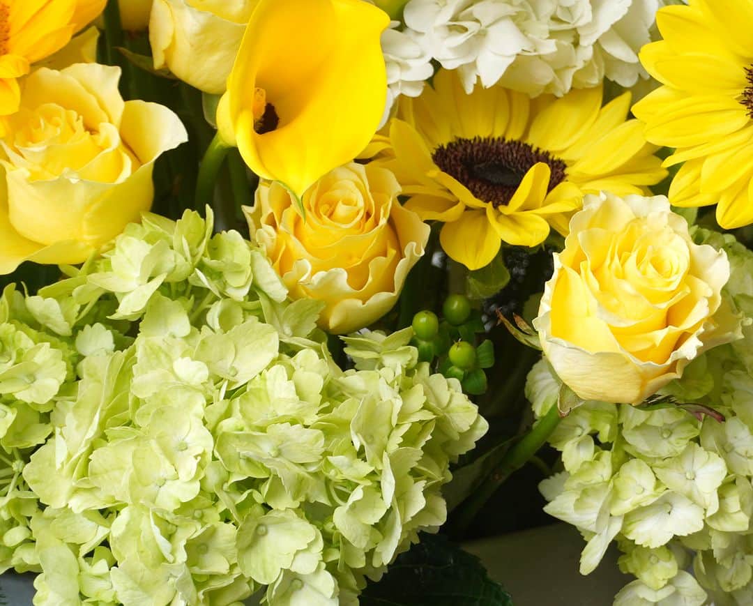 AOYAMA_HANAMOさんのインスタグラム写真 - (AOYAMA_HANAMOInstagram)「輝く陽光のような花々に「ありがとう」の気持ちを込めて。 ・ 明るく元気なイメージのヒマワリ、大輪バラ、カラーなどの黄色い花々に、白とライトグリーンの2種のハイドランジアでお作りしたアレンジメント。それぞれの花姿やステム（茎）の長さを生かして、広がるようにレイアウトしました。数種の繊細なリーフで清涼感を添えて、晴れやかで清々しいデザインに仕上げています。 ・ 本日、6月18日（日）は父の日ですね。 今年も父の日フラワーギフトのご注文をいただき、ありがとうございました。 青山花茂がお届けする花々が、お父さまの日々のお仕事やご家族への愛情に感謝の気持ちを表すお手伝いができれば、嬉しく思います。 ・ どうぞ素敵な父の日をお過ごしください。 ・ 商品名：ヒマワリのアレンジメント＜リモンチェッロ＞ - - - #aoyamahanamo #青山花茂 #お花のある生活 #花が好きな人と繋がりたい #花を飾ろう #花のある暮らし #花のあるくらし #花のある日常 #癒しの花 #季節の花 #旬の花 #花とおうち時間 #花贈り #フラワーギフト #花の贈り物 #父の日ギフト #父の日フラワーギフト #父の日プレゼント #父の日アレンジメント #アレンジメント #フラワーアレンジメント #バラ #アジサイ #紫陽花 #あじさい #ハイドランジア #カラー #ヒマワリ #ひまわり #黄色い花」6月18日 11時00分 - aoyama_hanamo