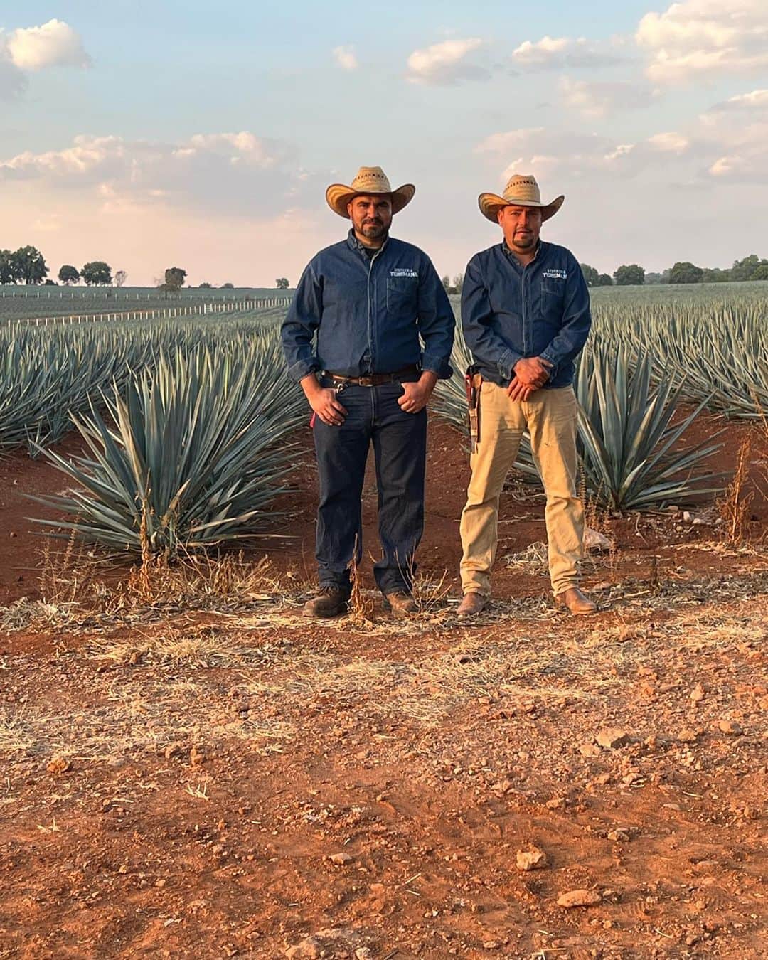 ドウェイン・ジョンソンのインスタグラム：「Here’s two of our amazing Teremana Jimadores - José and Trino - who take tremendous pride in cultivating our fully mature, blue weber Teremana agave.   Our generational Teremana Jimadores our very experienced, talented, passionate & proud. And from sunup to sundown they are the backbone of our tequila making process.   In person, our agave fields are stunning.  The mana of the land is real.  Can’t wait to show you more.   #TeremanaCampus #DistilleriaTeremanaDeAgave」