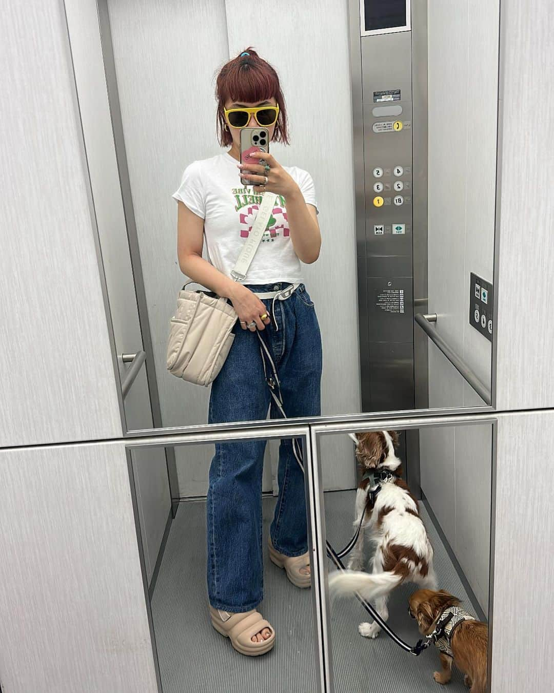 村上佳菜子のインスタグラム：「さんぽサンポSANPO!! . . 🕶️ @burberry  👕 @myshell.official  👖 @mediam_official  👡 @uggjapan  👜 @gelatopique_official  . . #cavalier #chiwawa  #犬のいる暮らし　#doglover #dog #おしゃれさんと繋がりたい  #instagood  #데일리　#좋아요　#팔로우　 #패션　 #데일리룩　#오오티디  #셀카　#穿搭日常 #커피　#카페」