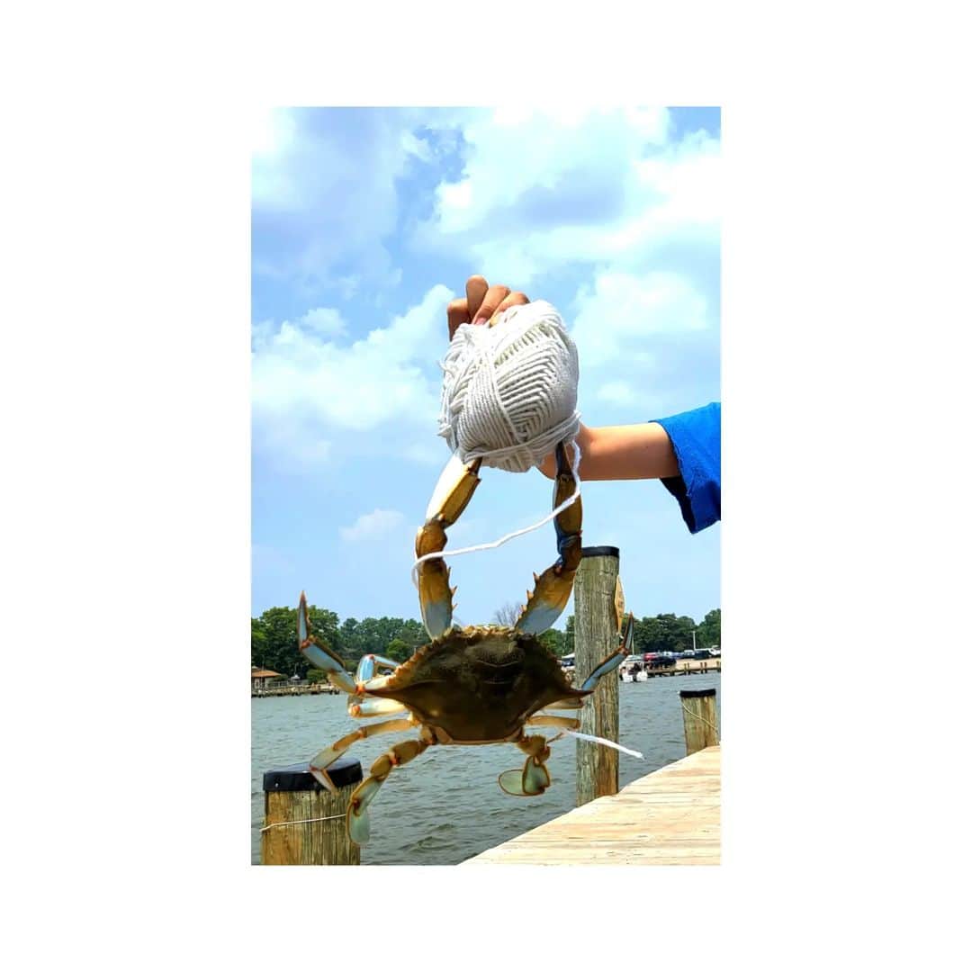 ソ・ユジンさんのインスタグラム写真 - (ソ・ユジンInstagram)「#bluecrabs 🎣🦀💙」6月18日 13時14分 - yujin_so